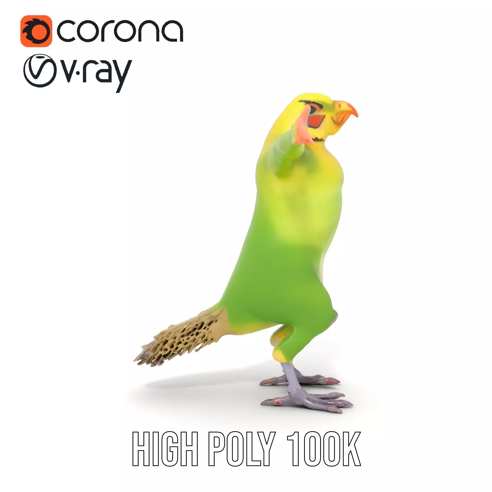 Tropical Parrot Hybrid model pack Low-poly 3D model_18