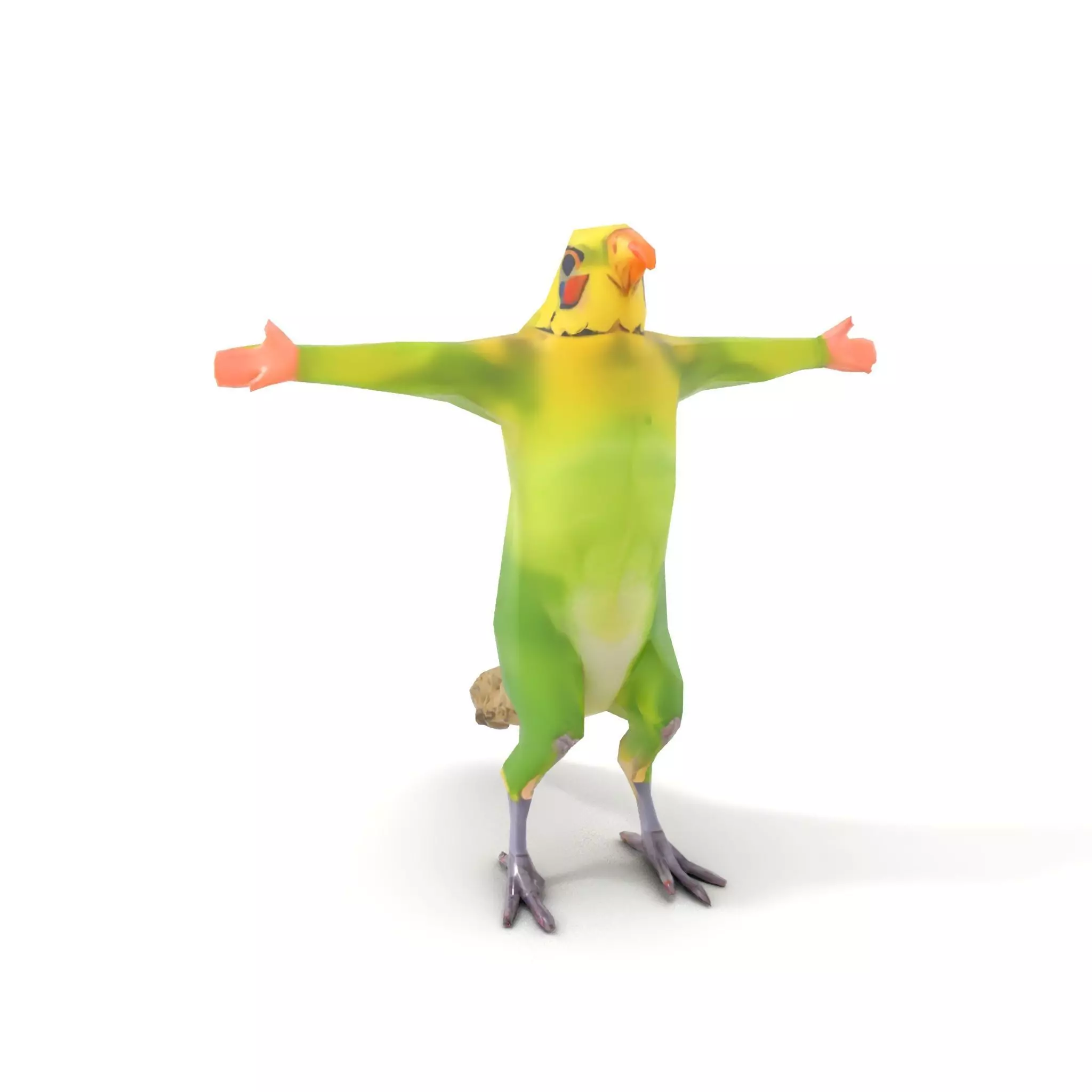 Tropical Parrot Hybrid model pack Low-poly 3D model_7