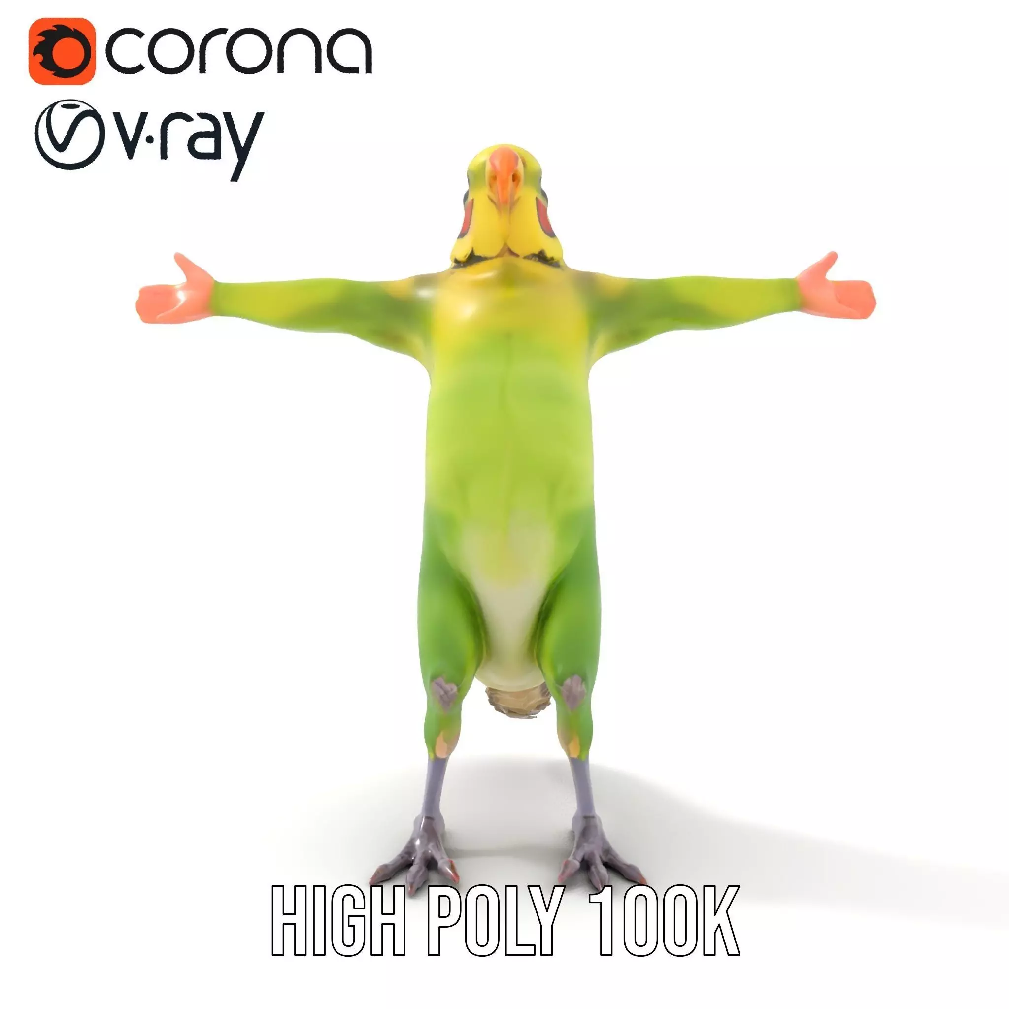 Tropical Parrot Hybrid model pack Low-poly 3D model_25