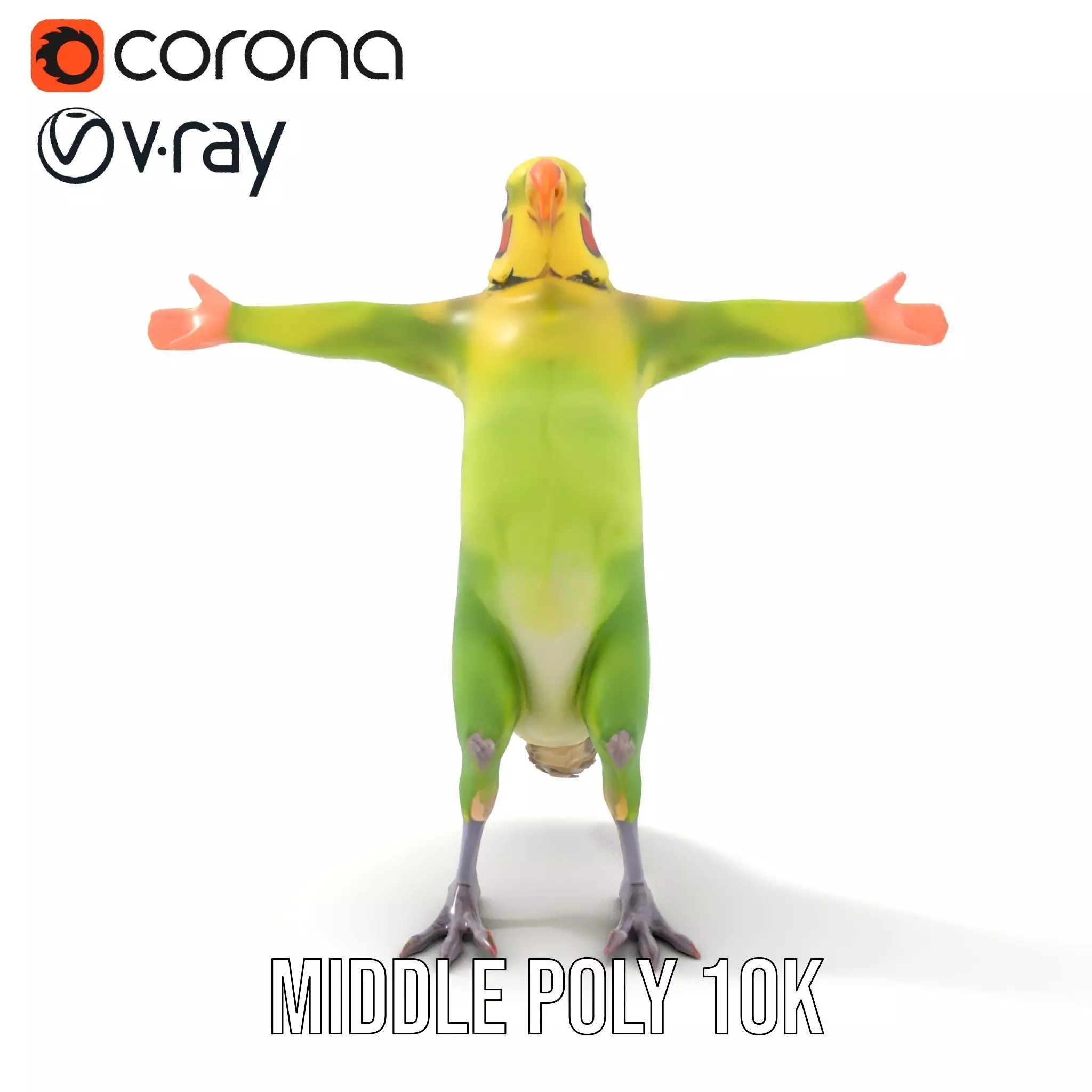 Tropical Parrot Hybrid model pack Low-poly 3D model_5