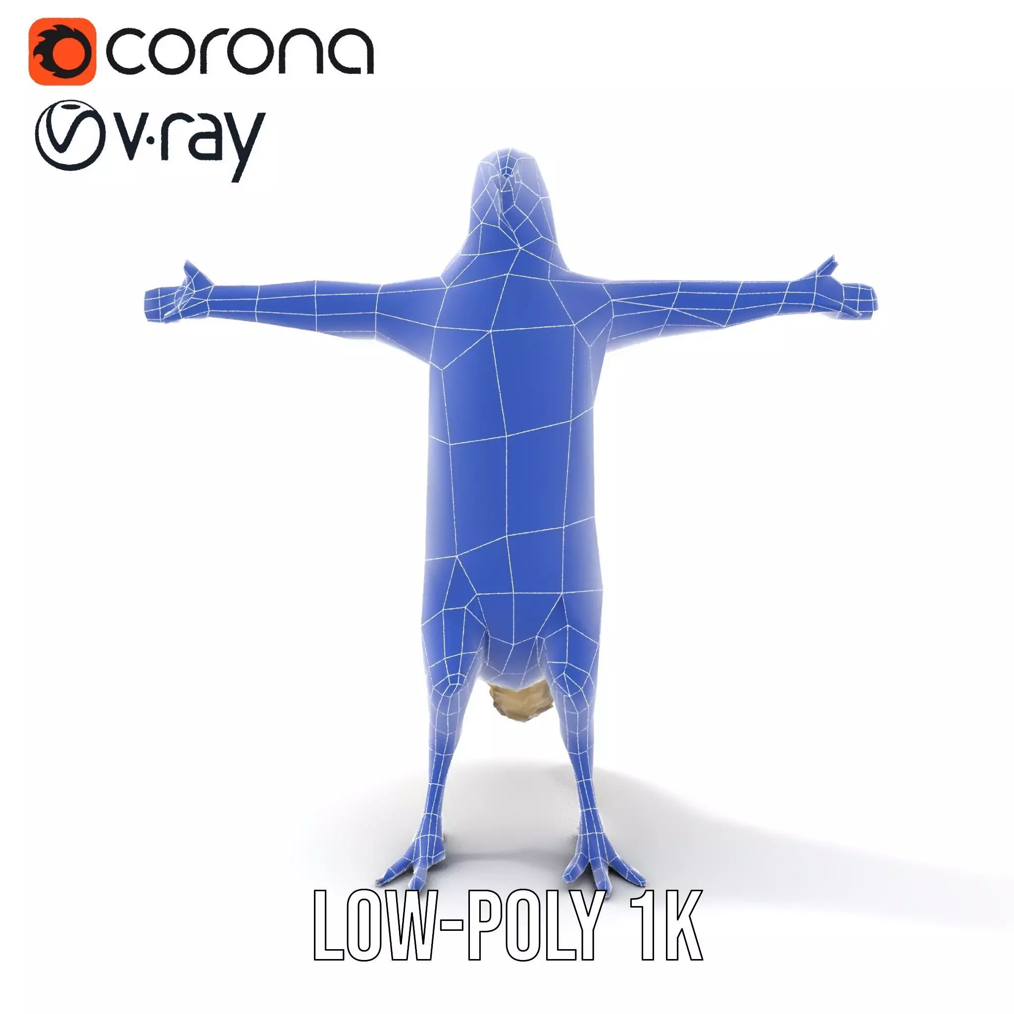 Tropical Parrot Hybrid model pack Low-poly 3D model_30