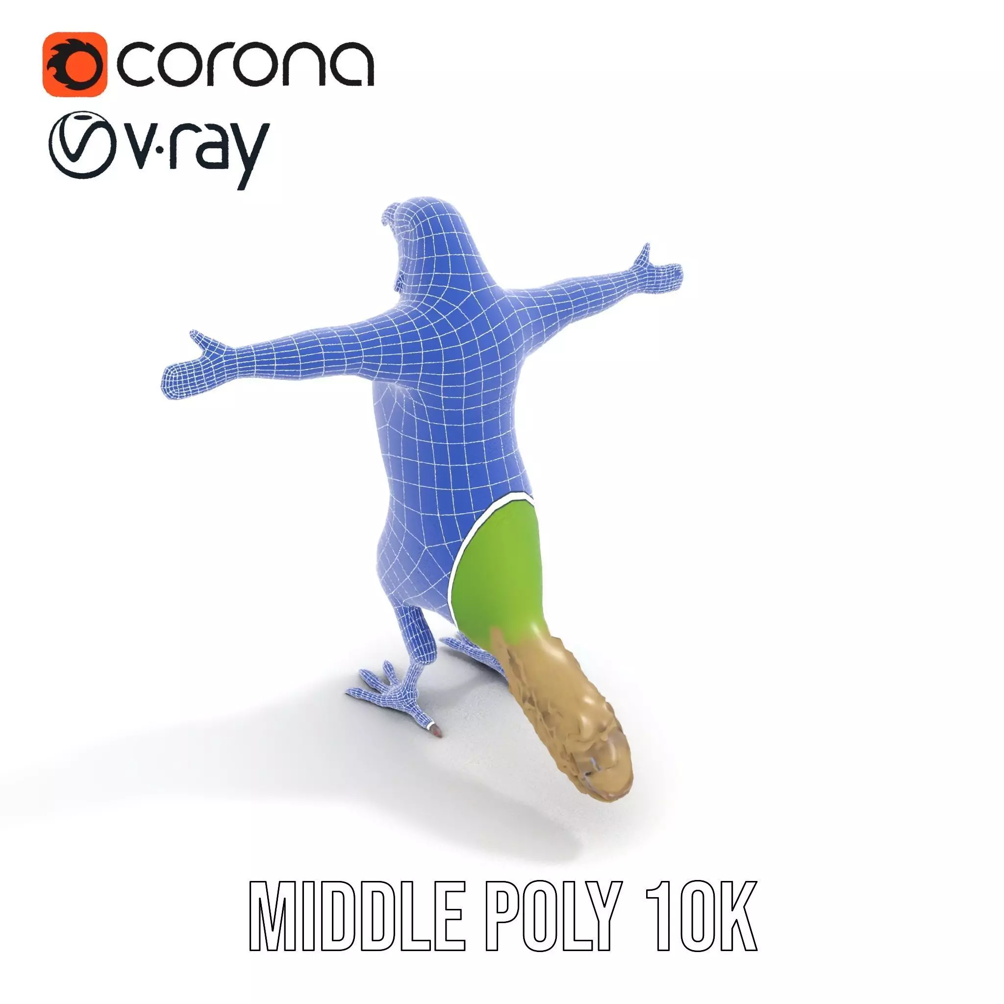 Tropical Parrot Hybrid model pack Low-poly 3D model_23