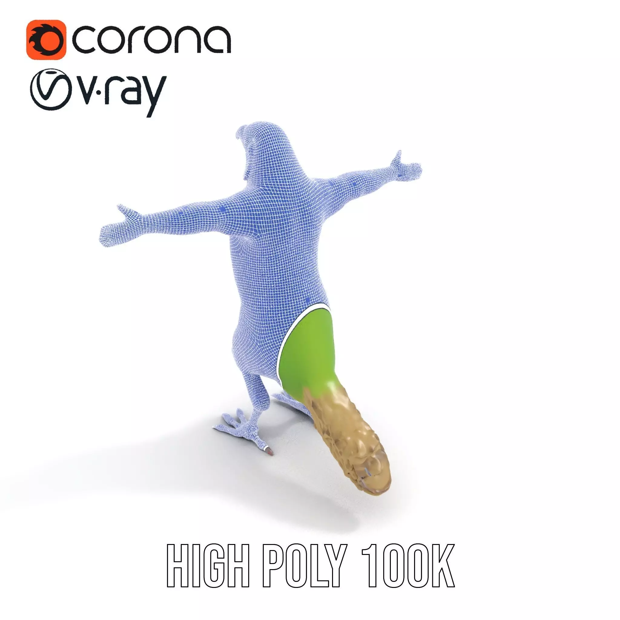 Tropical Parrot Hybrid model pack Low-poly 3D model_15