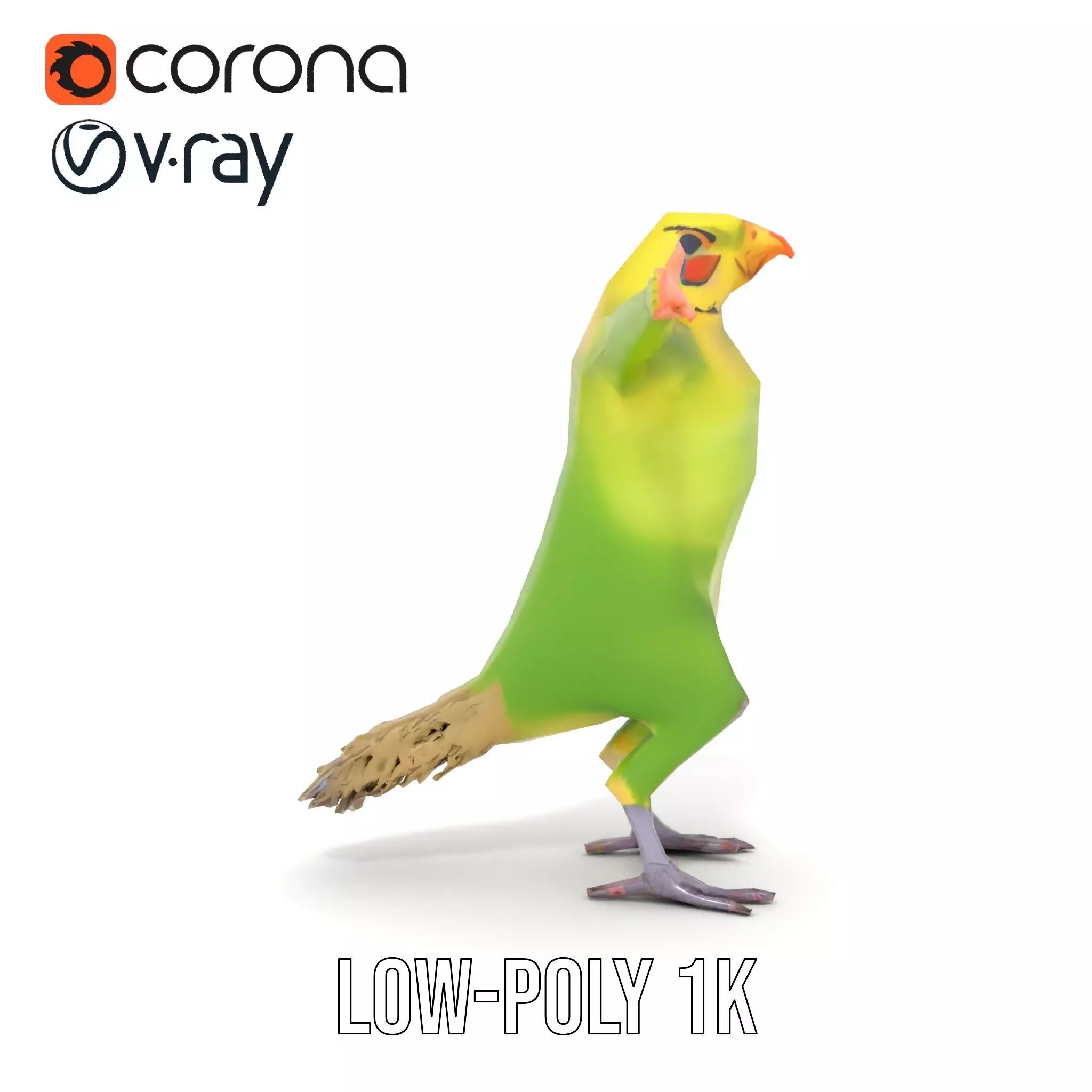 Tropical Parrot Hybrid model pack Low-poly 3D model_14