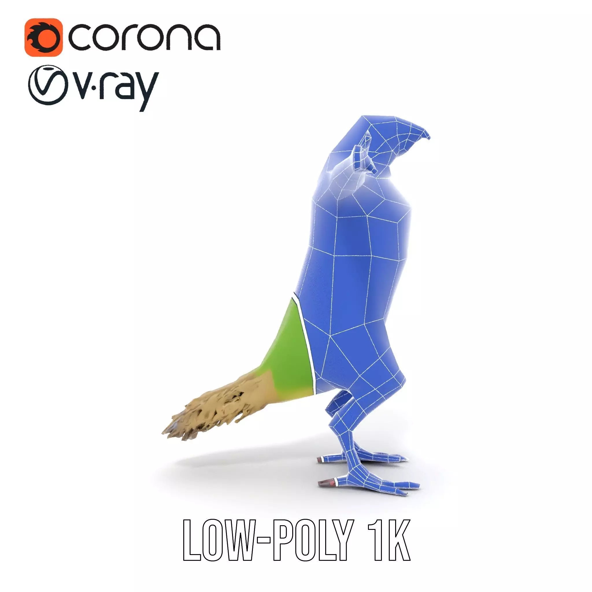 Tropical Parrot Hybrid model pack Low-poly 3D model_27