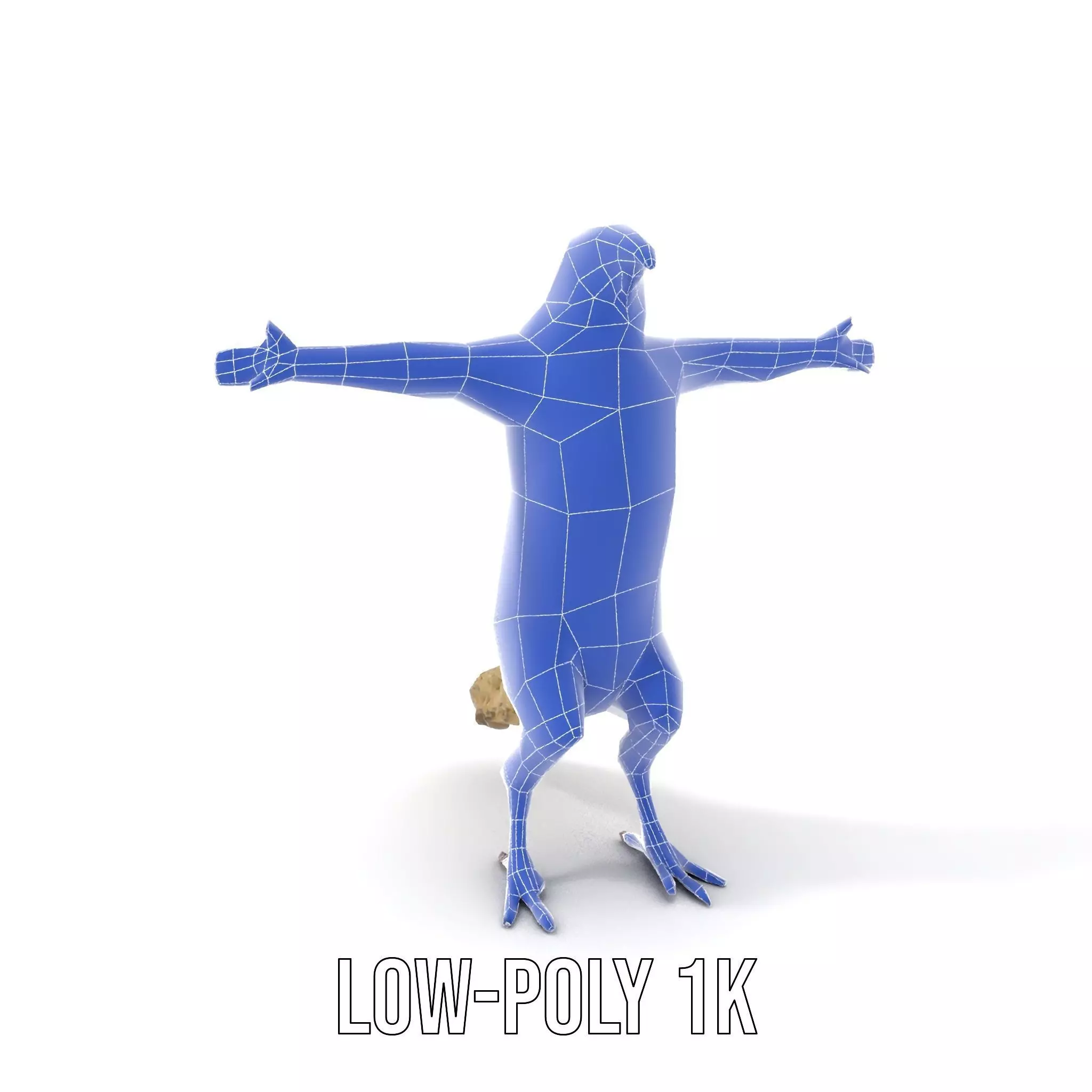 Tropical Parrot Hybrid model pack Low-poly 3D model_12