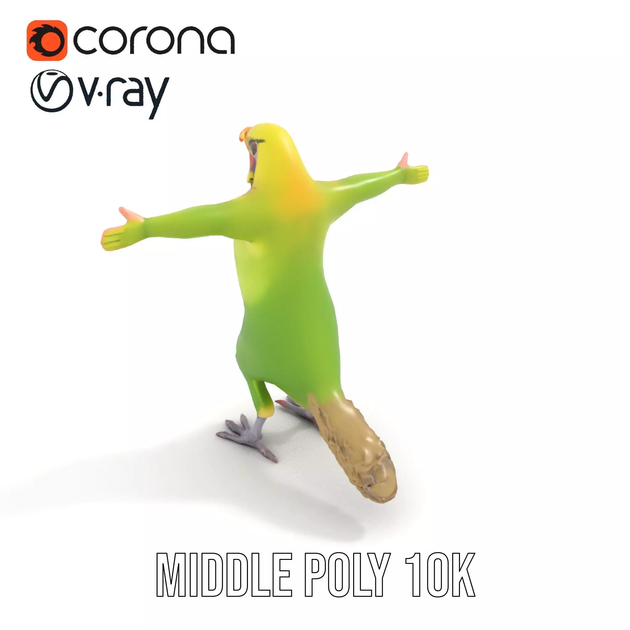 Tropical Parrot Hybrid model pack Low-poly 3D model_11