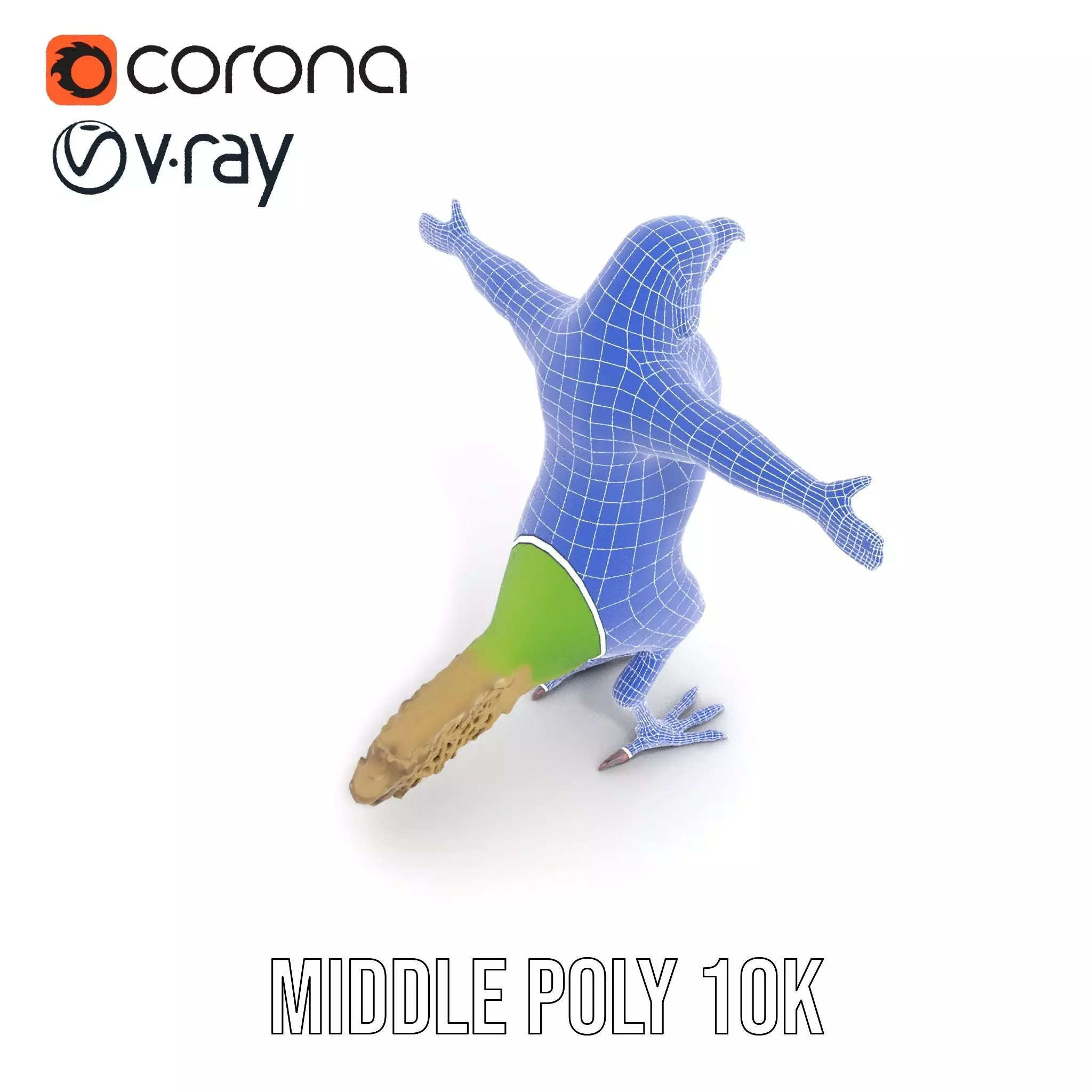 Tropical Parrot Hybrid model pack Low-poly 3D model_29