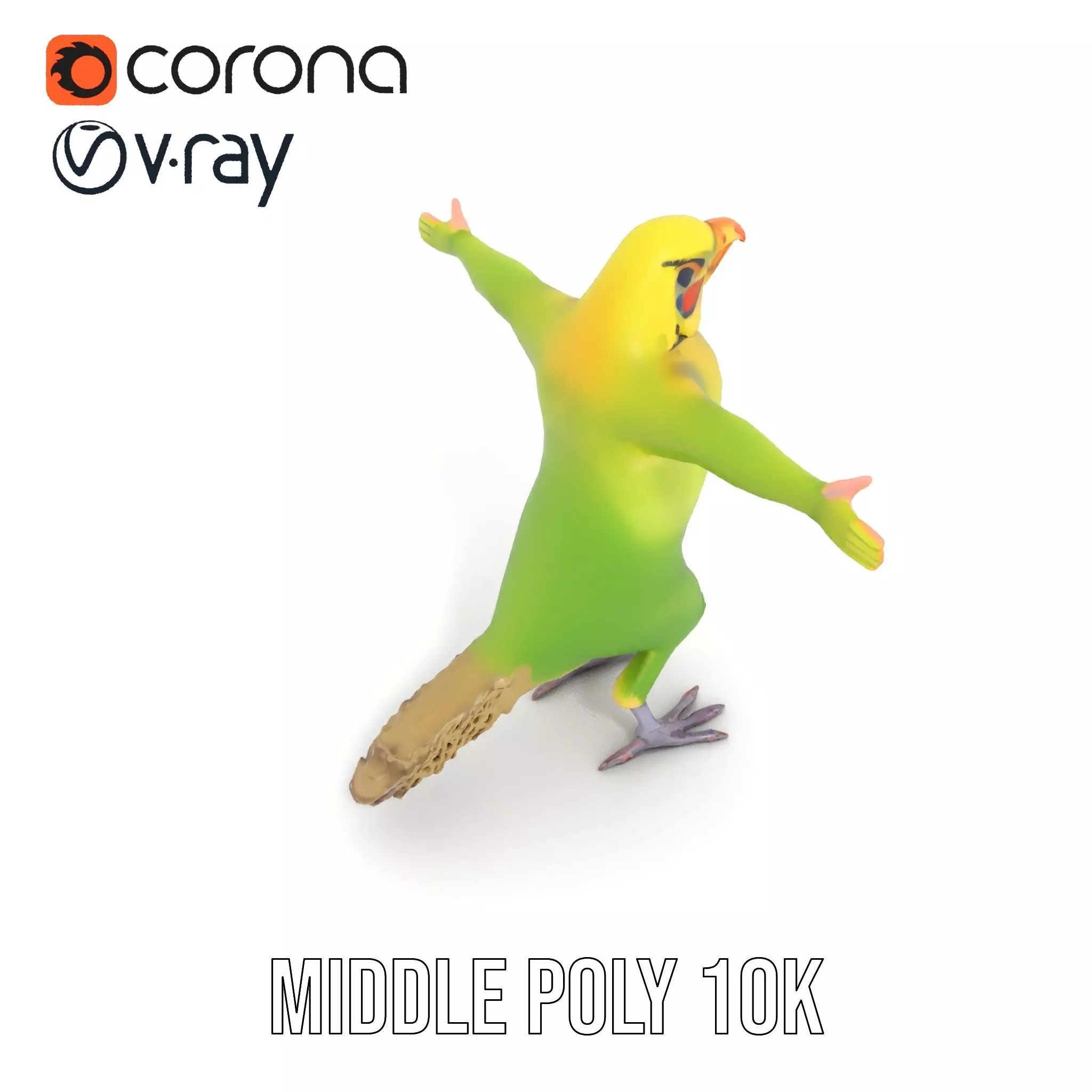 Tropical Parrot Hybrid model pack Low-poly 3D model_19