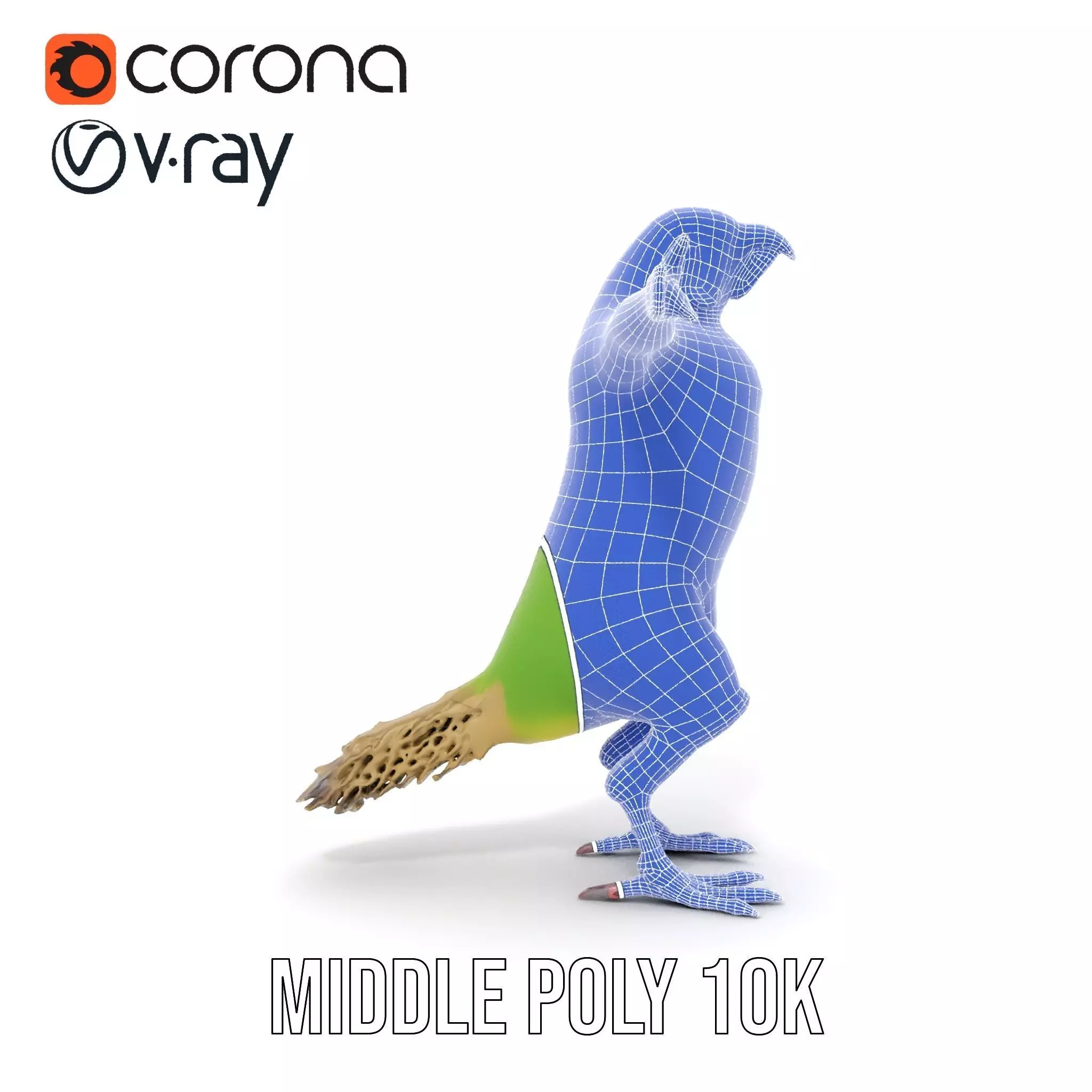 Tropical Parrot Hybrid model pack Low-poly 3D model_16