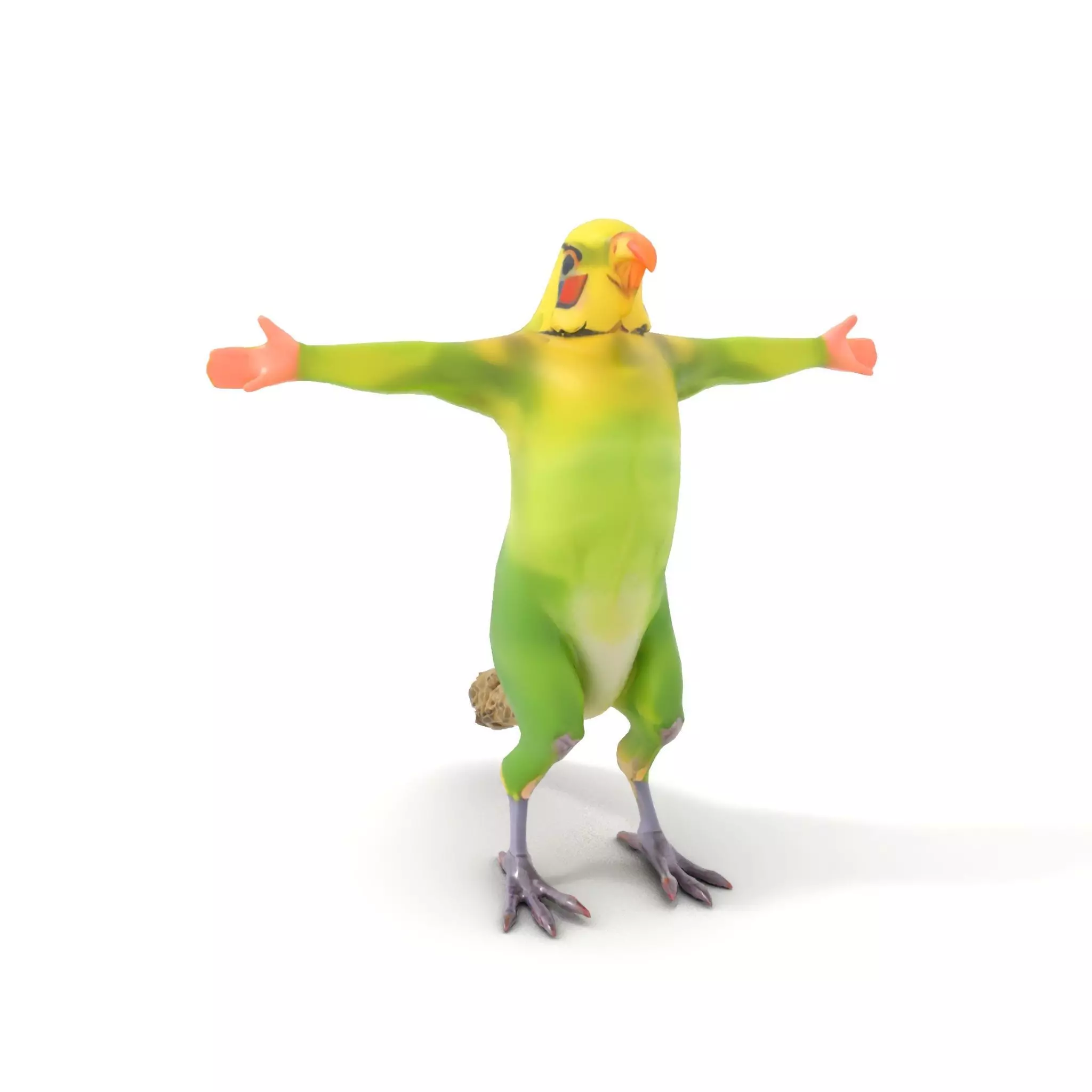 Tropical Parrot Hybrid model pack Low-poly 3D model_6