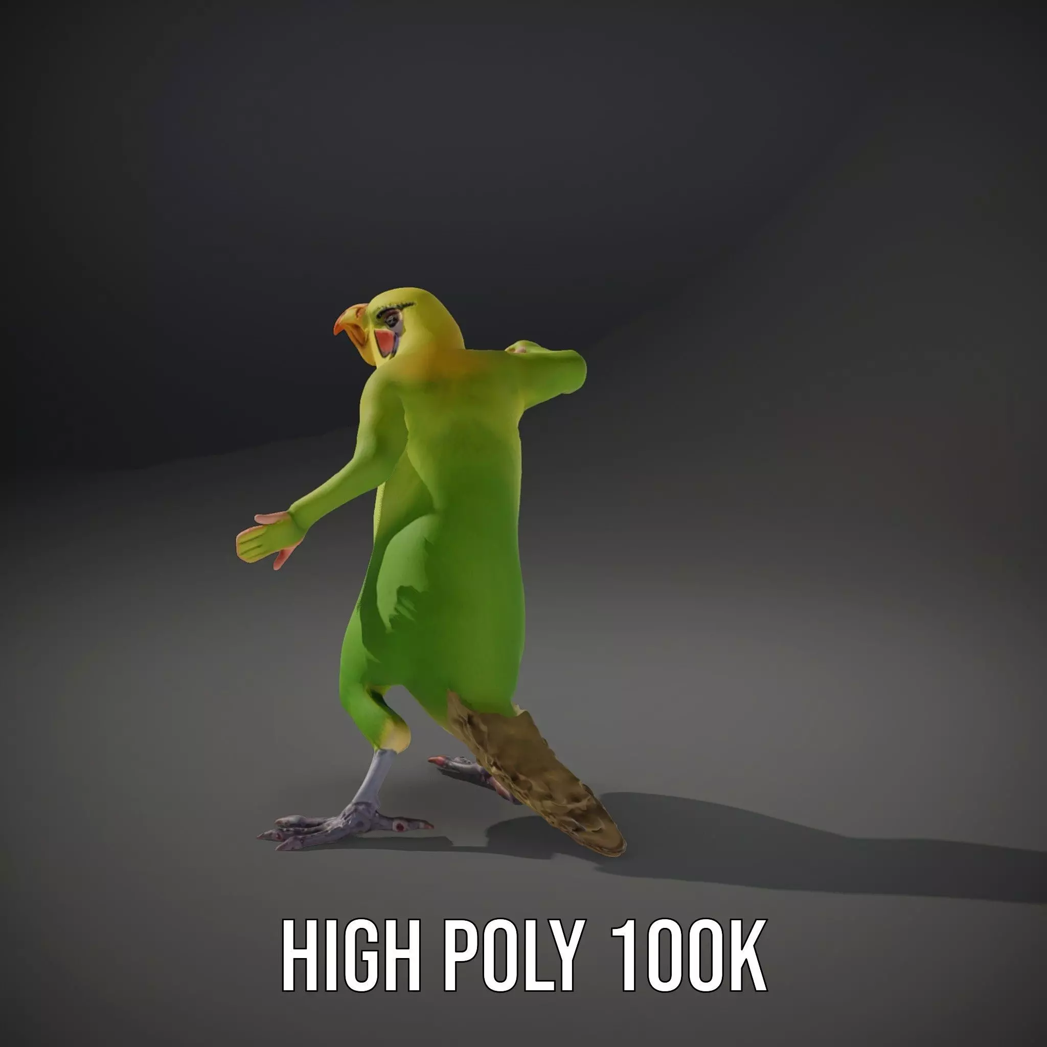 Tropical Parrot Hybrid model pack Low-poly 3D model_8