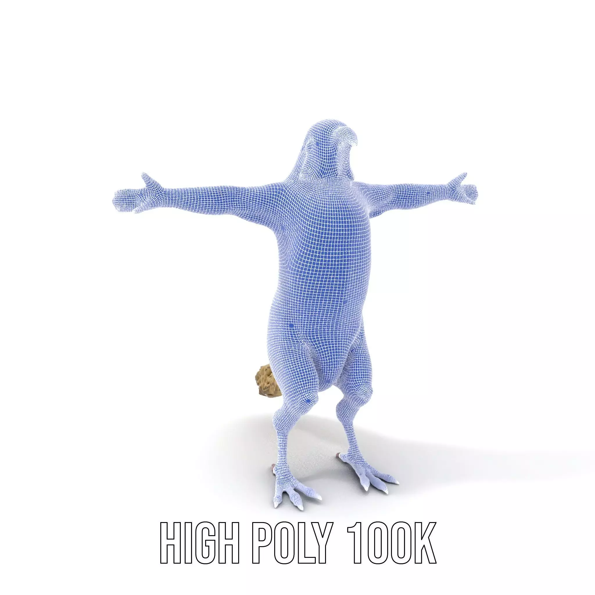 Tropical Parrot Hybrid model pack Low-poly 3D model_4