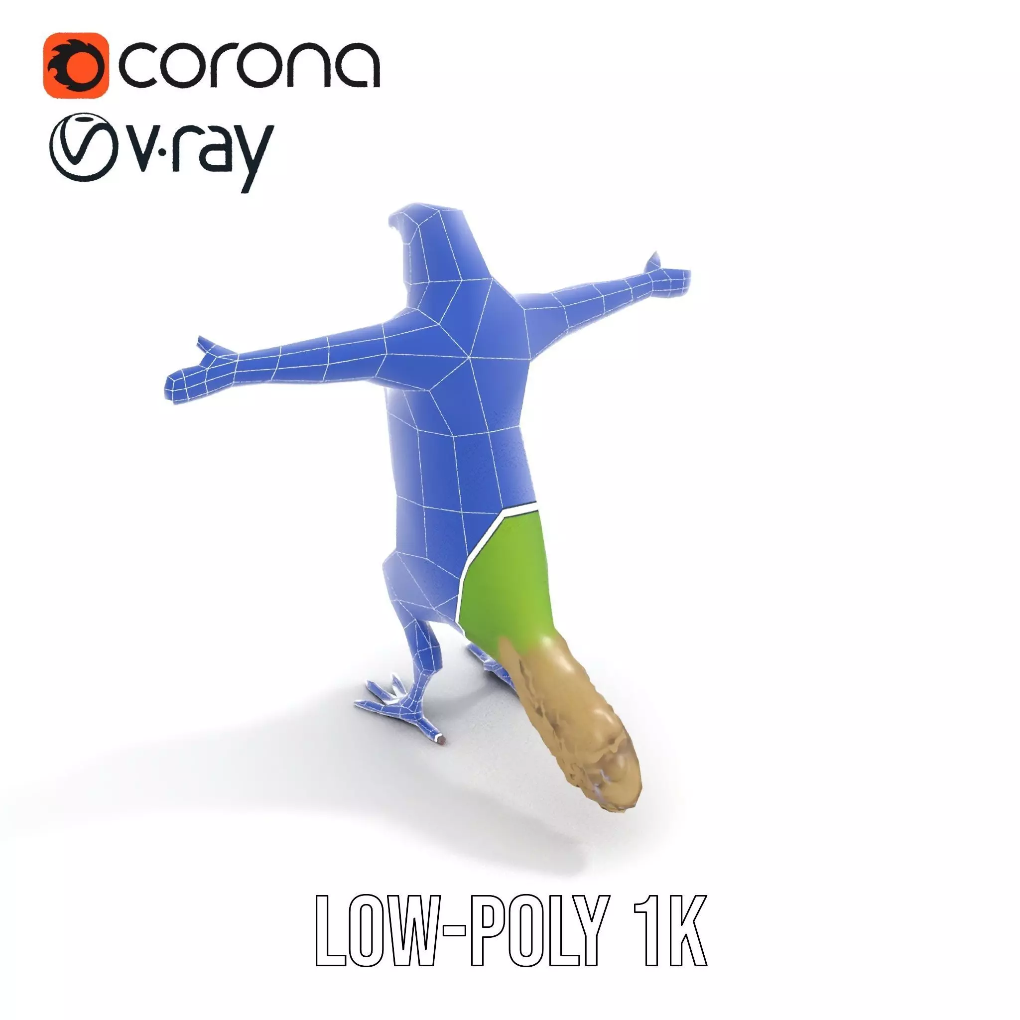 Tropical Parrot Hybrid model pack Low-poly 3D model_24