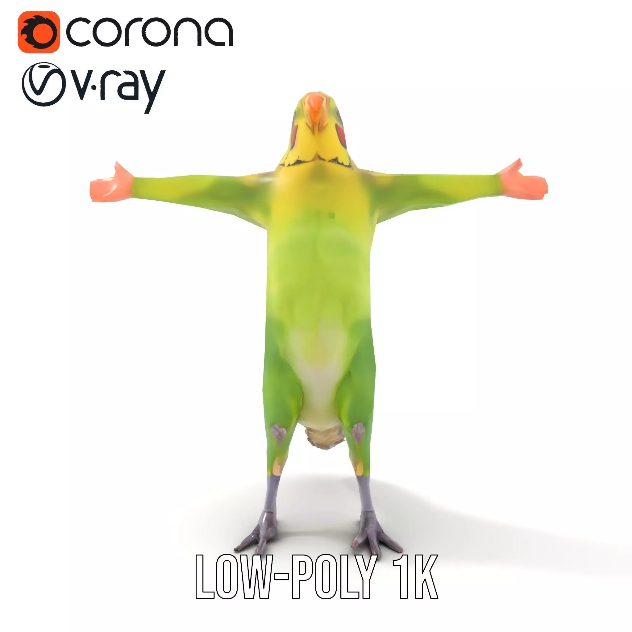 Tropical Parrot Hybrid model pack Low-poly 3D model_20