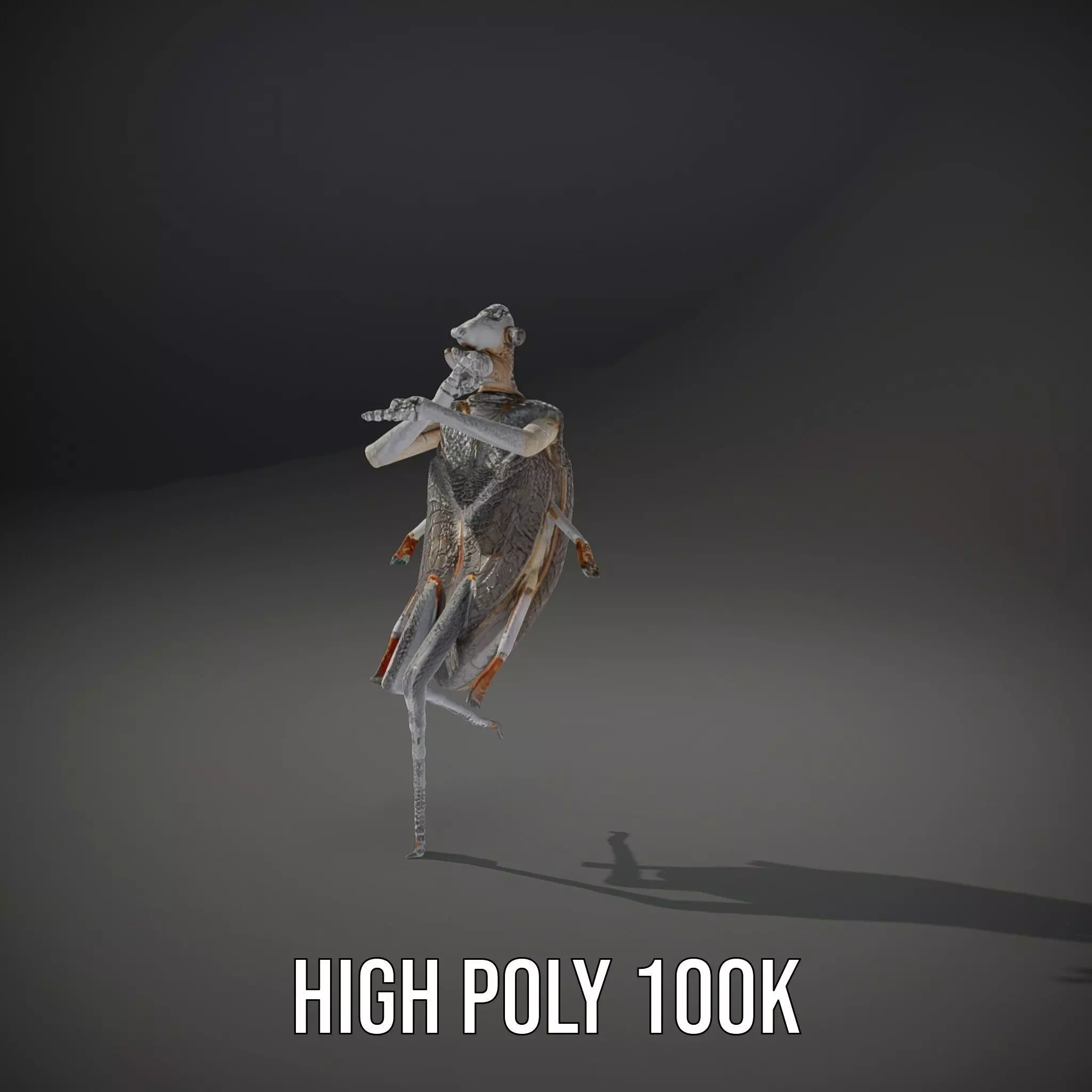 Futuristic Beetle Droid model pack Low-poly 3D model_12