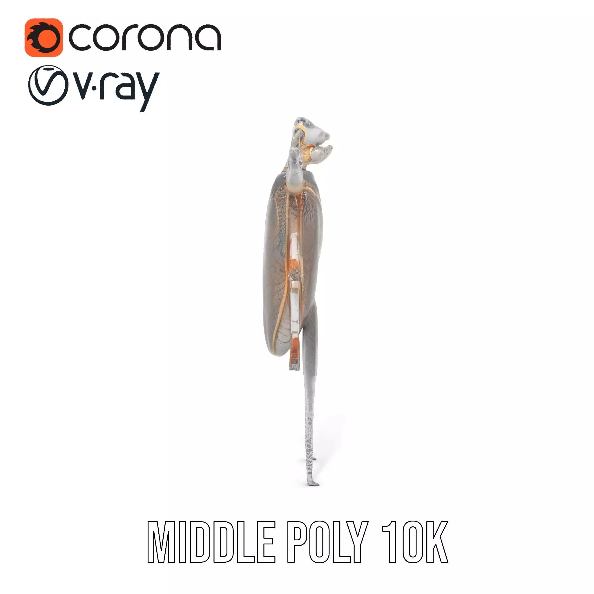 Futuristic Beetle Droid model pack Low-poly 3D model_16