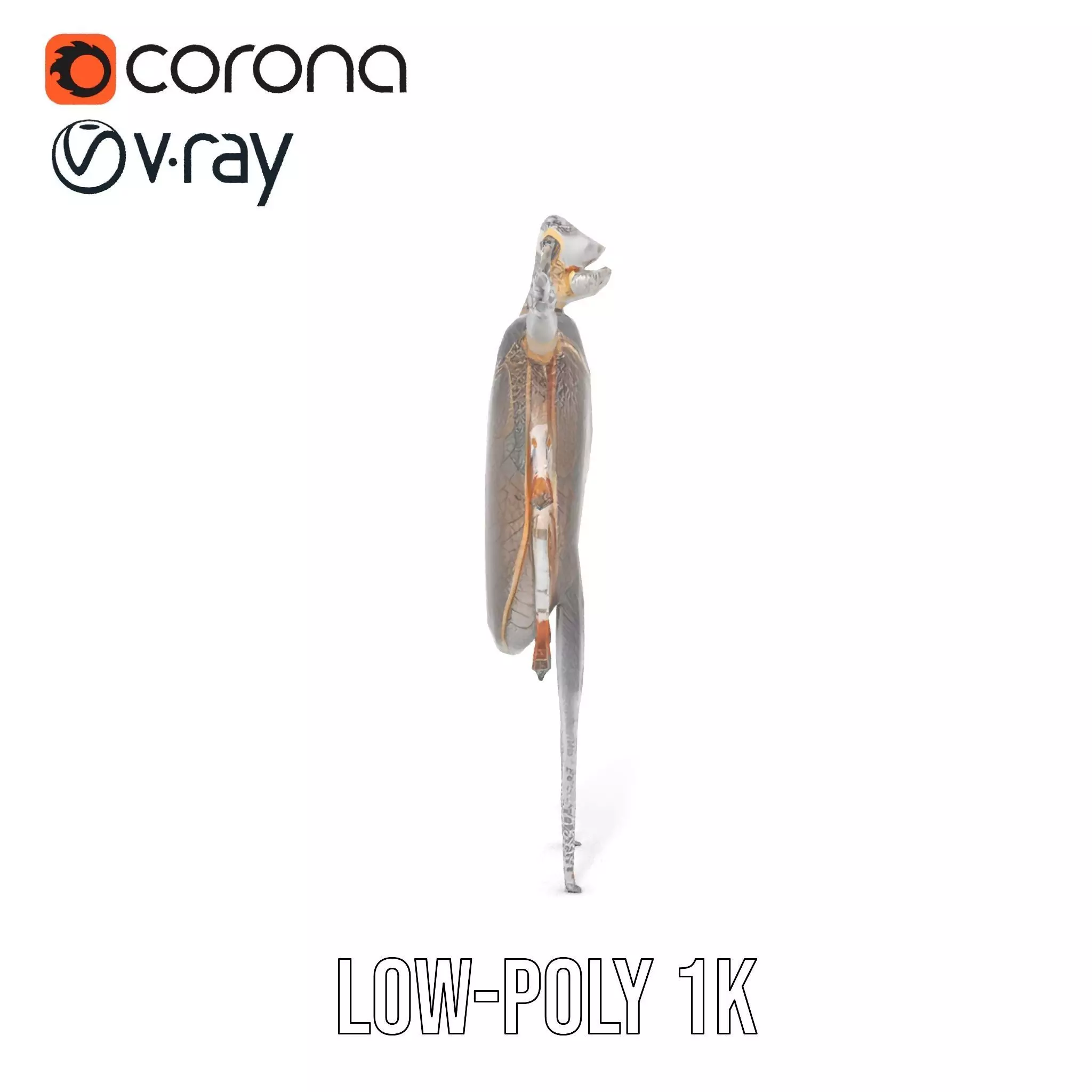 Futuristic Beetle Droid model pack Low-poly 3D model_20