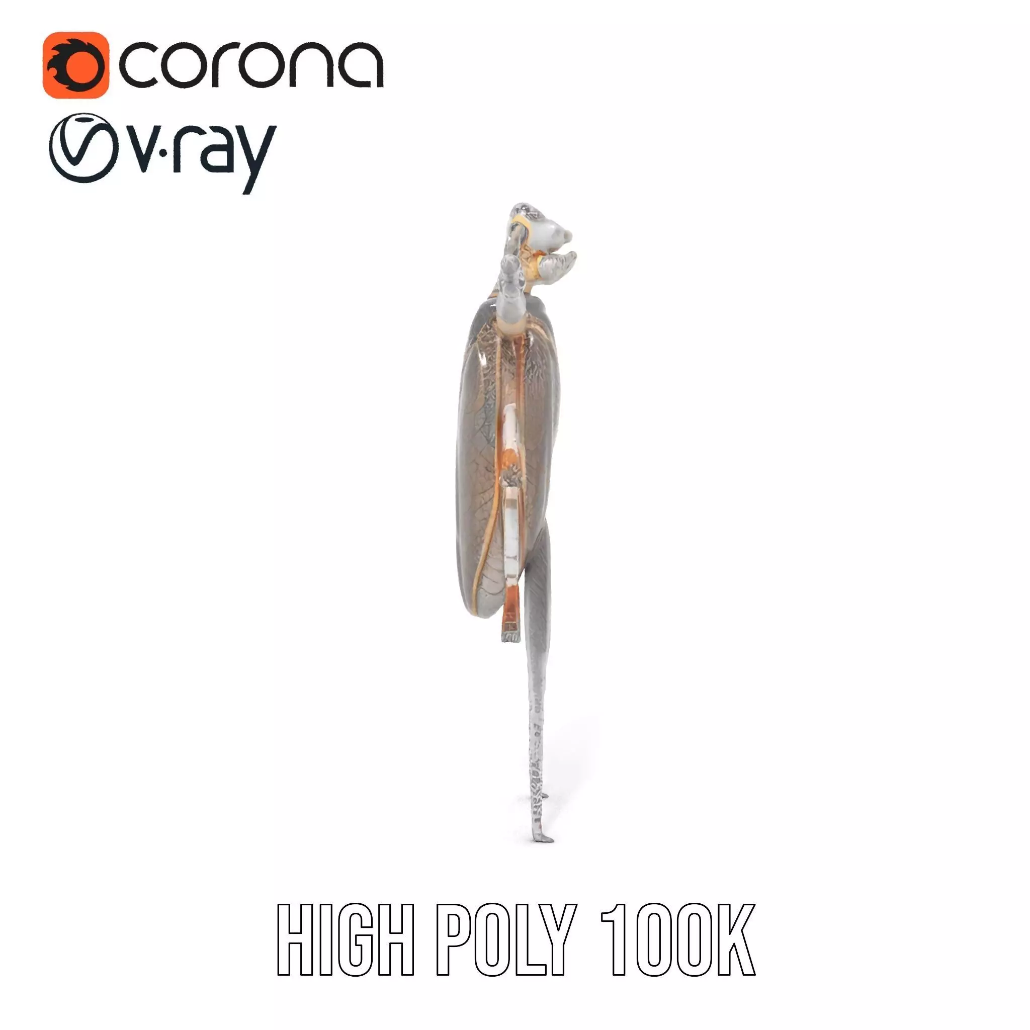 Futuristic Beetle Droid model pack Low-poly 3D model_26