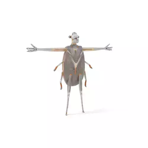 Futuristic Beetle Droid model pack Low-poly 3D model
