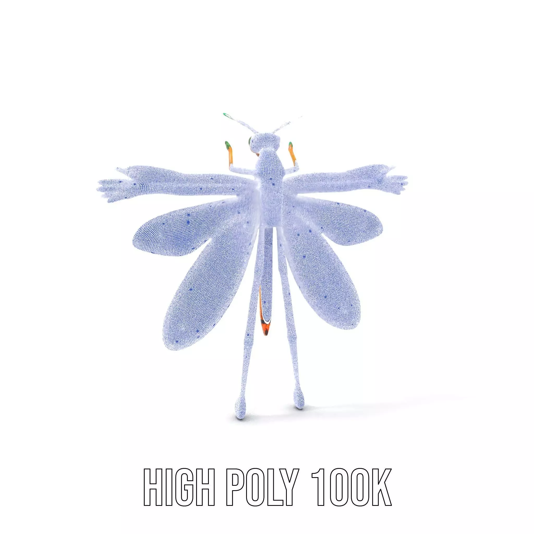 Iridescent Dragonfly model pack Low-poly 3D model_4