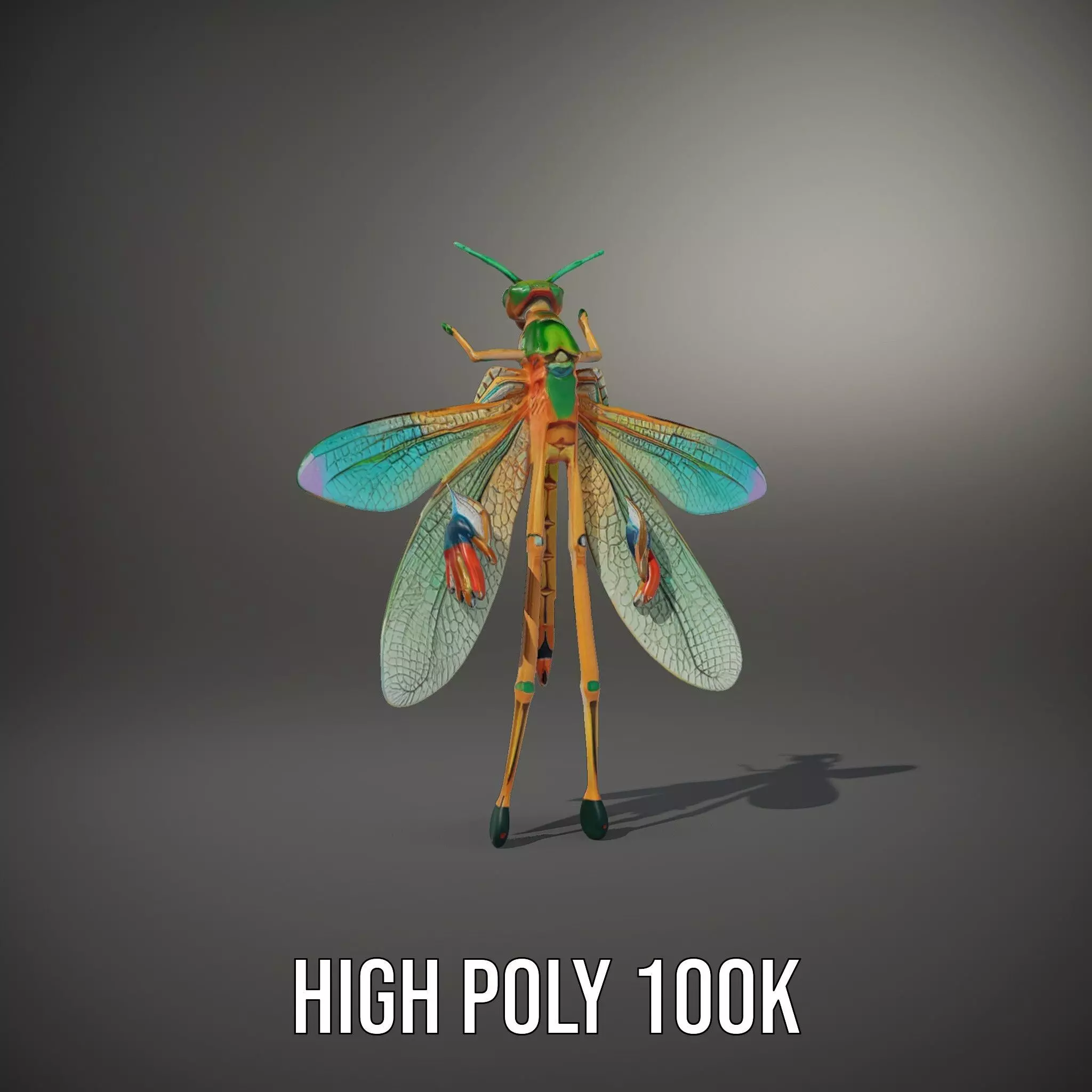 Iridescent Dragonfly model pack Low-poly 3D model_12