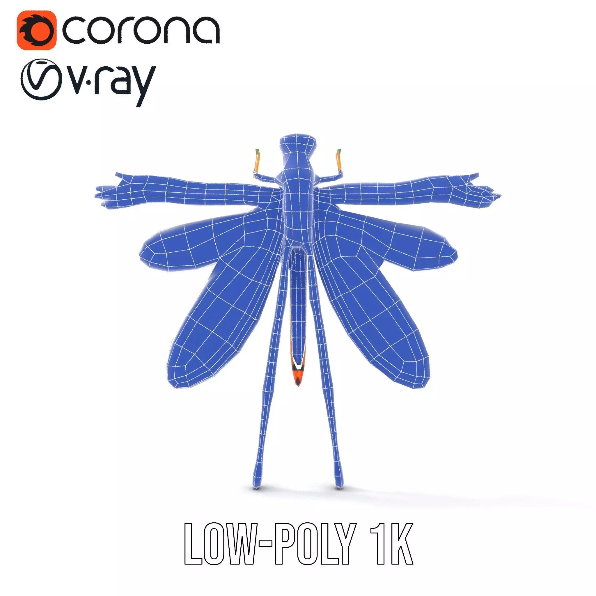 Iridescent Dragonfly model pack Low-poly 3D model_25