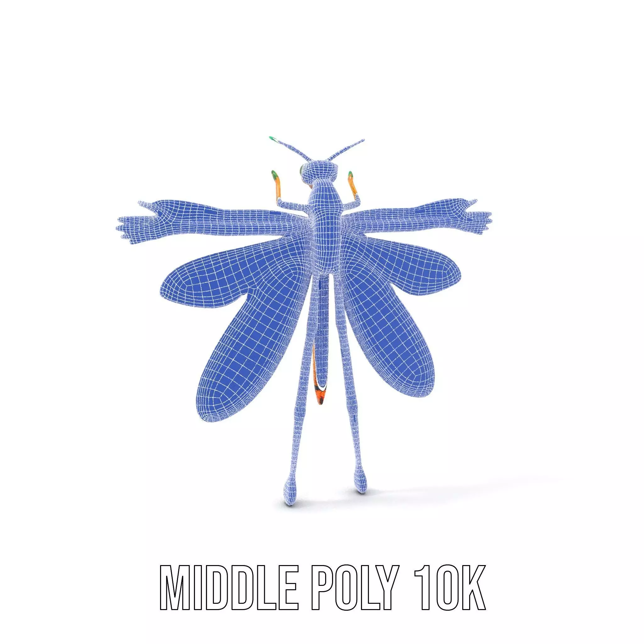 Iridescent Dragonfly model pack Low-poly 3D model_21