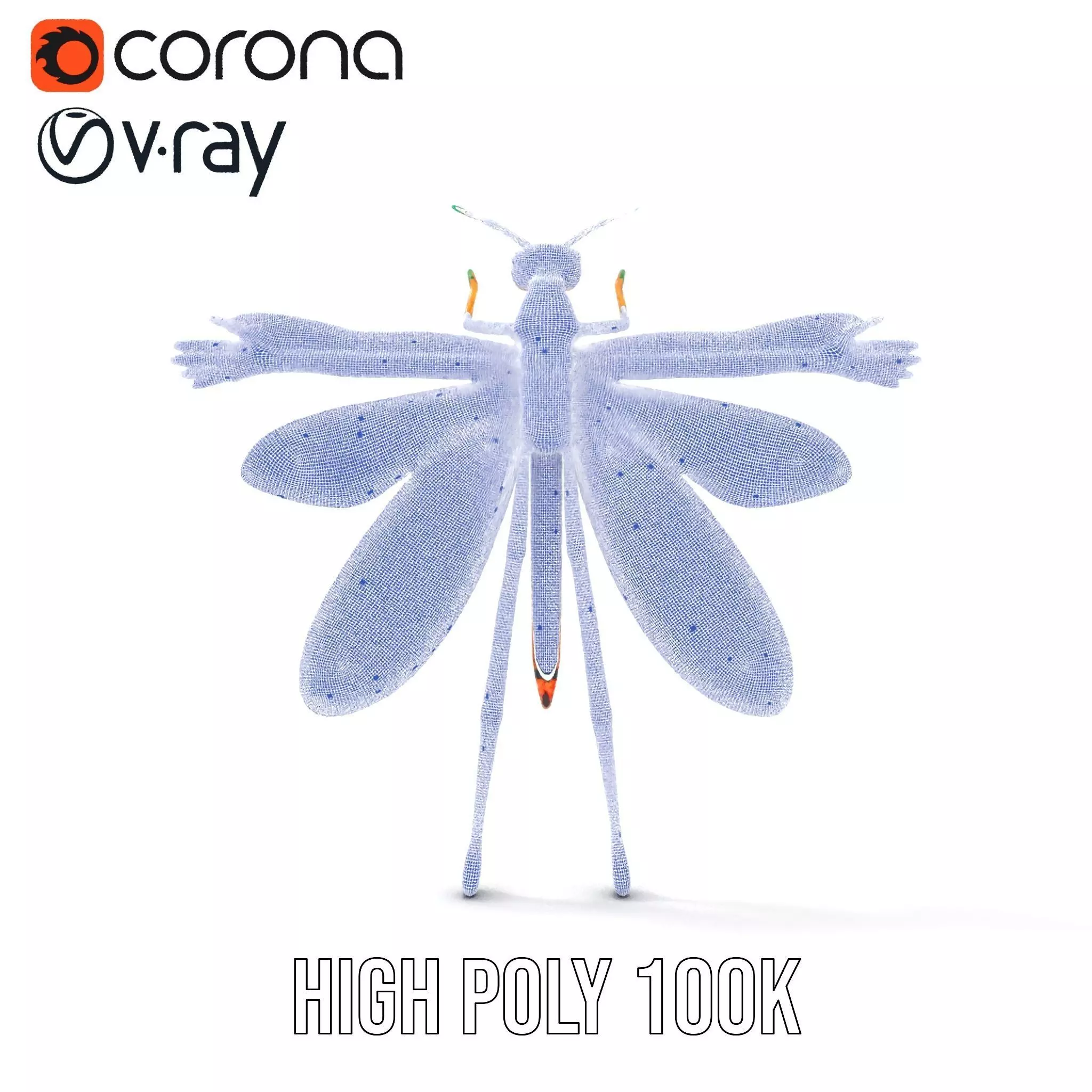 Iridescent Dragonfly model pack Low-poly 3D model_26