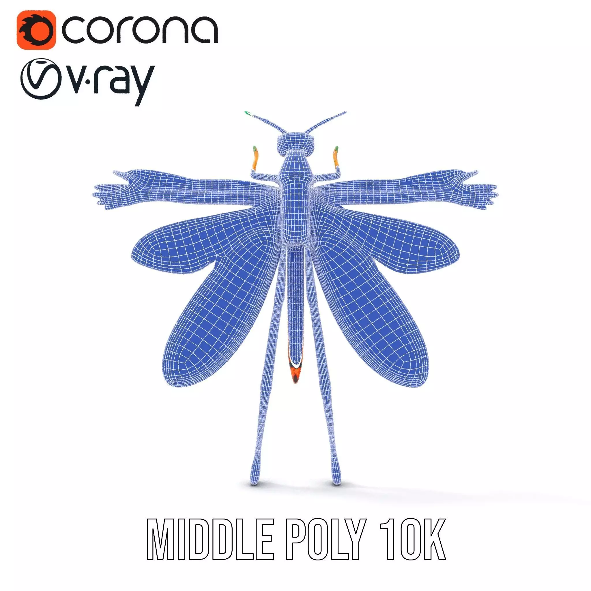 Iridescent Dragonfly model pack Low-poly 3D model_30