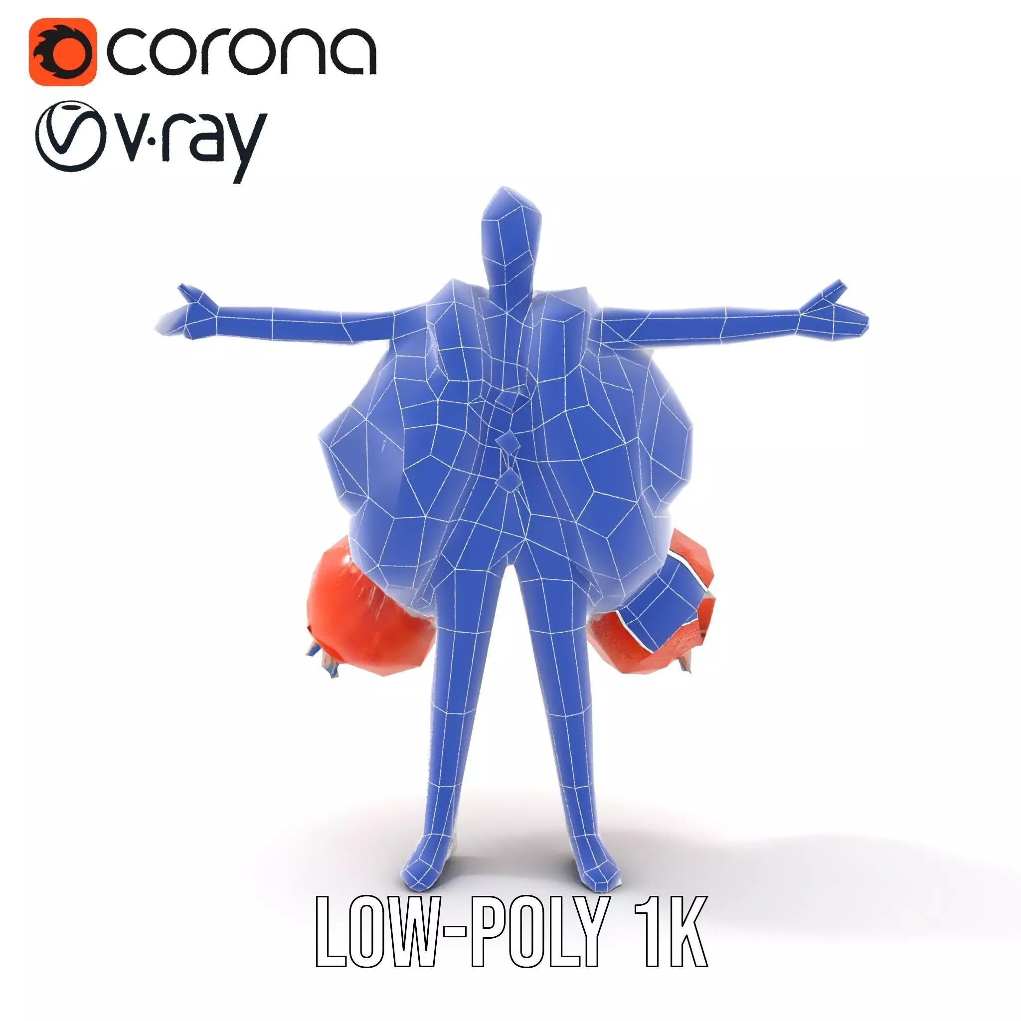 Colorful Feather Costume model pack Low-poly 3D model_23