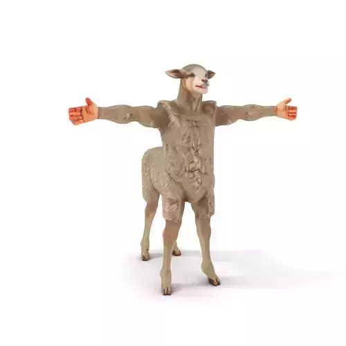 Humanoid Sheep Character model pack Low-poly 3D model