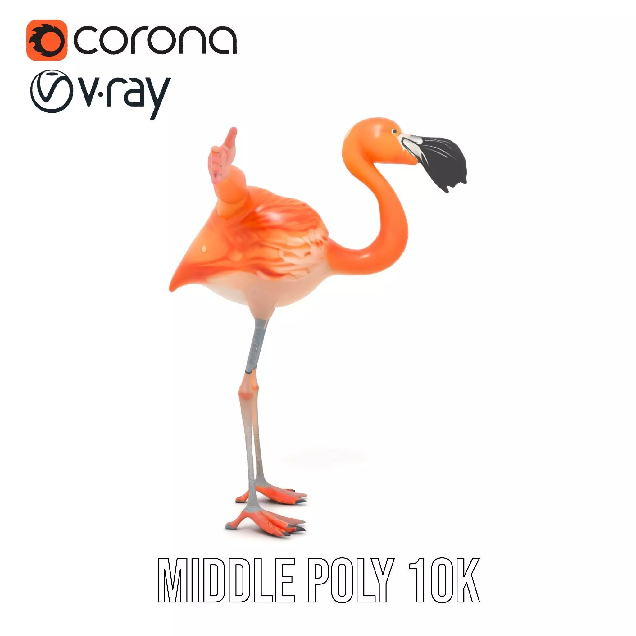Unique Flamingo Creature model pack Low-poly 3D model_11