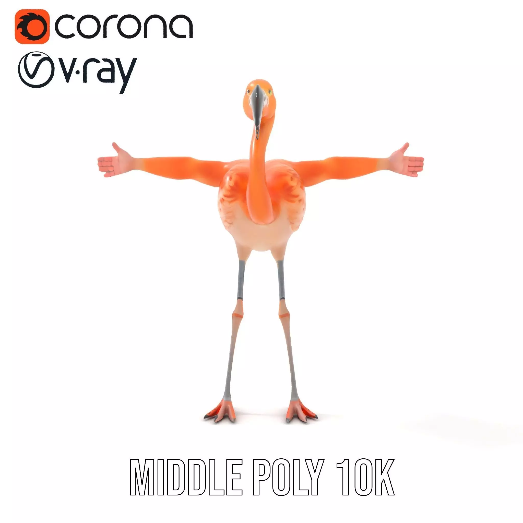 Unique Flamingo Creature model pack Low-poly 3D model_5