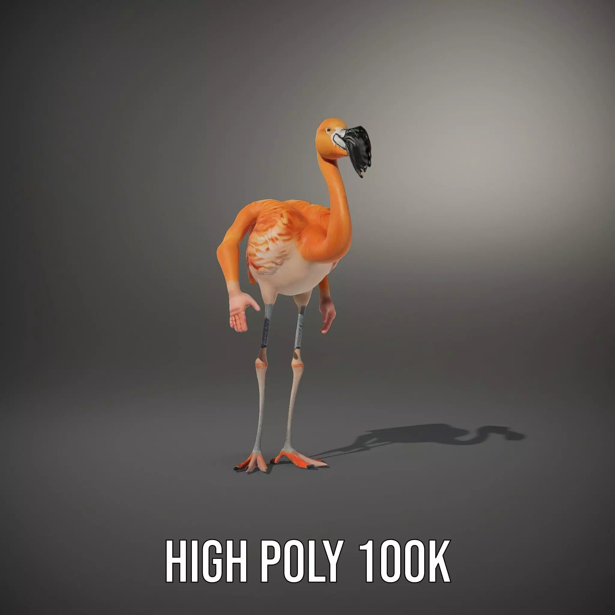 Unique Flamingo Creature model pack Low-poly 3D model_8
