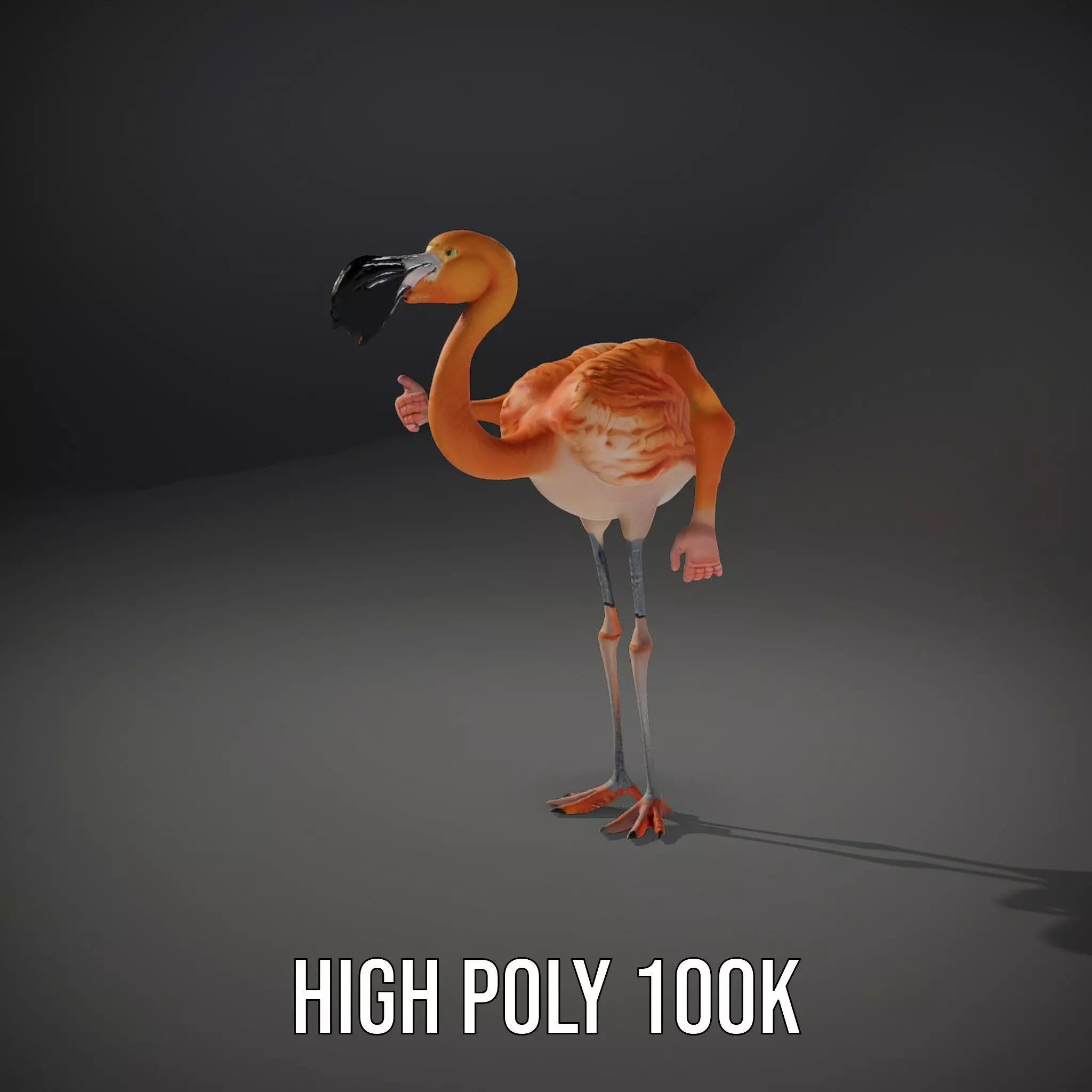 Unique Flamingo Creature model pack Low-poly 3D model_10