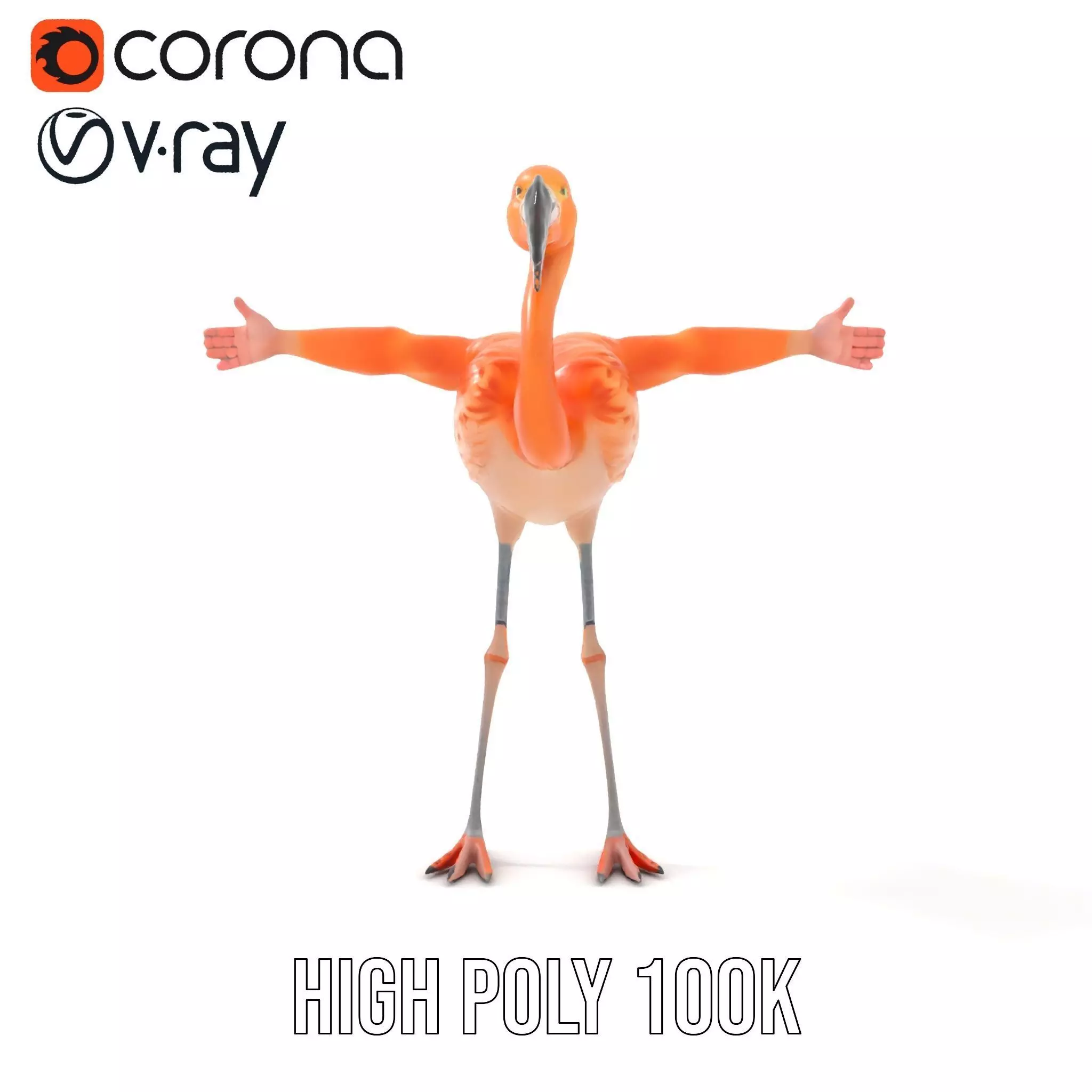 Unique Flamingo Creature model pack Low-poly 3D model_32