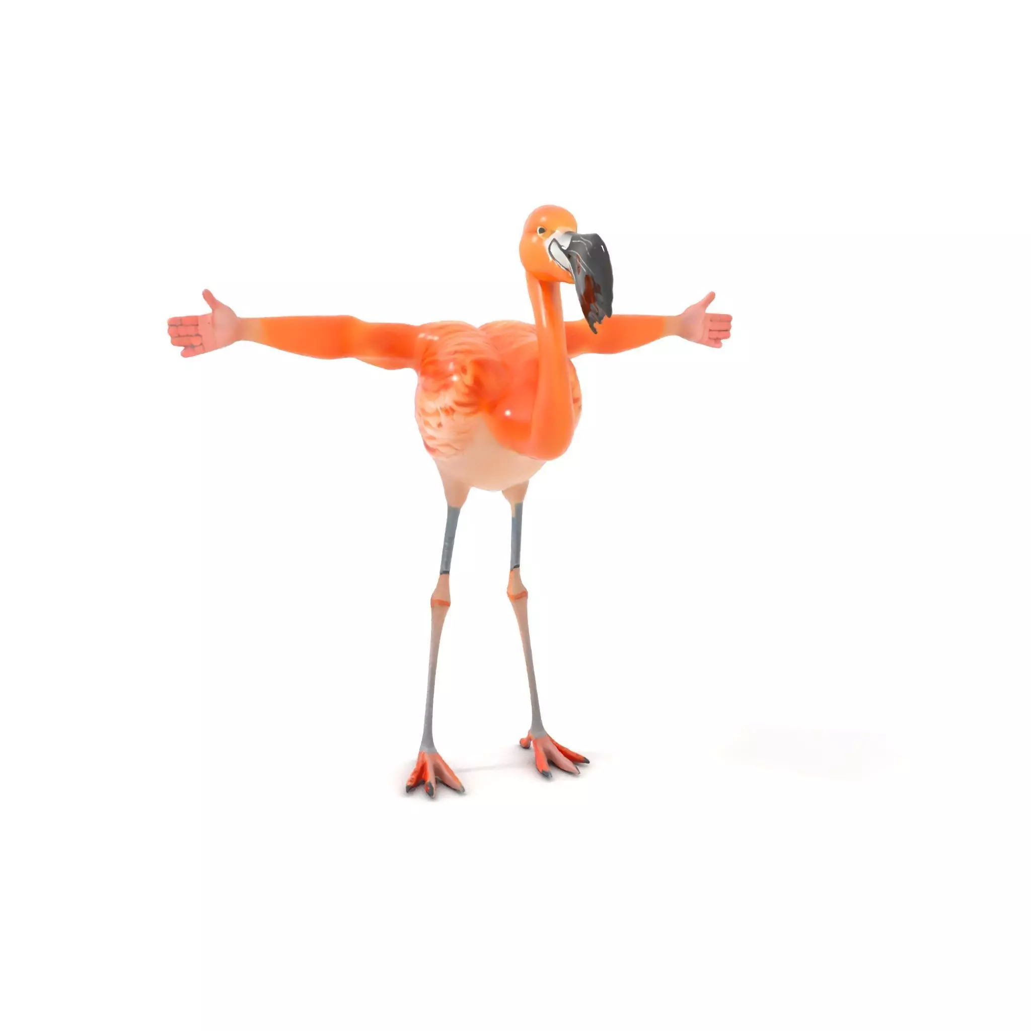 Unique Flamingo Creature model pack Low-poly 3D model_0