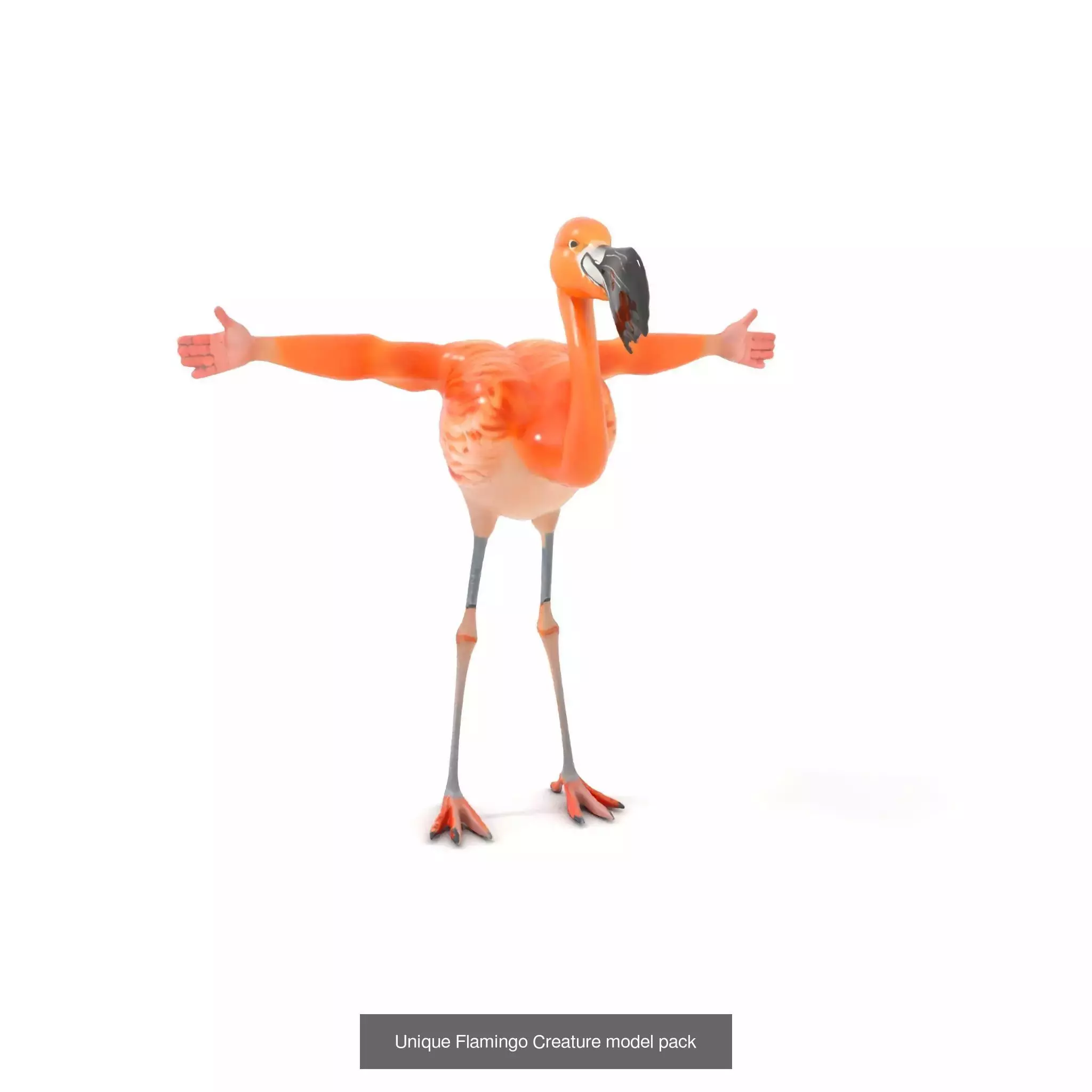 Whimsical Creatures and Objects Pack 3D Model Collection_20