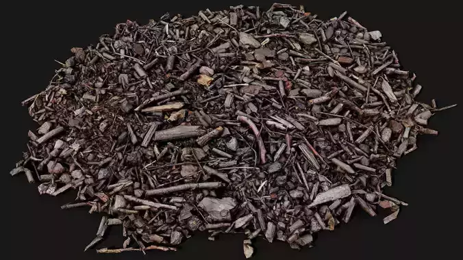 forest ground patch debris pt3 detail PBR photogrammetry