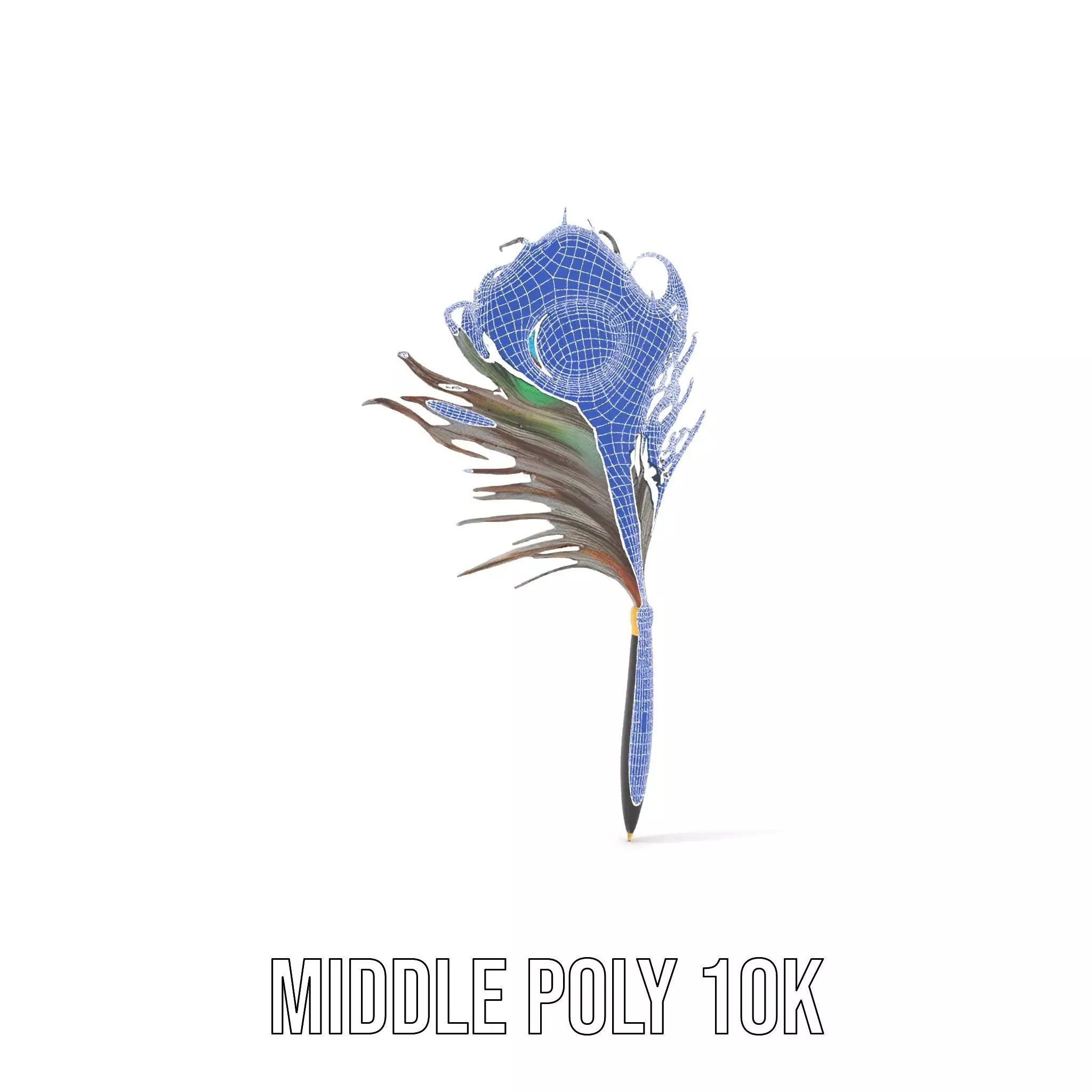 Elegant Peacock Quill Pen model pack Low-poly 3D model_27