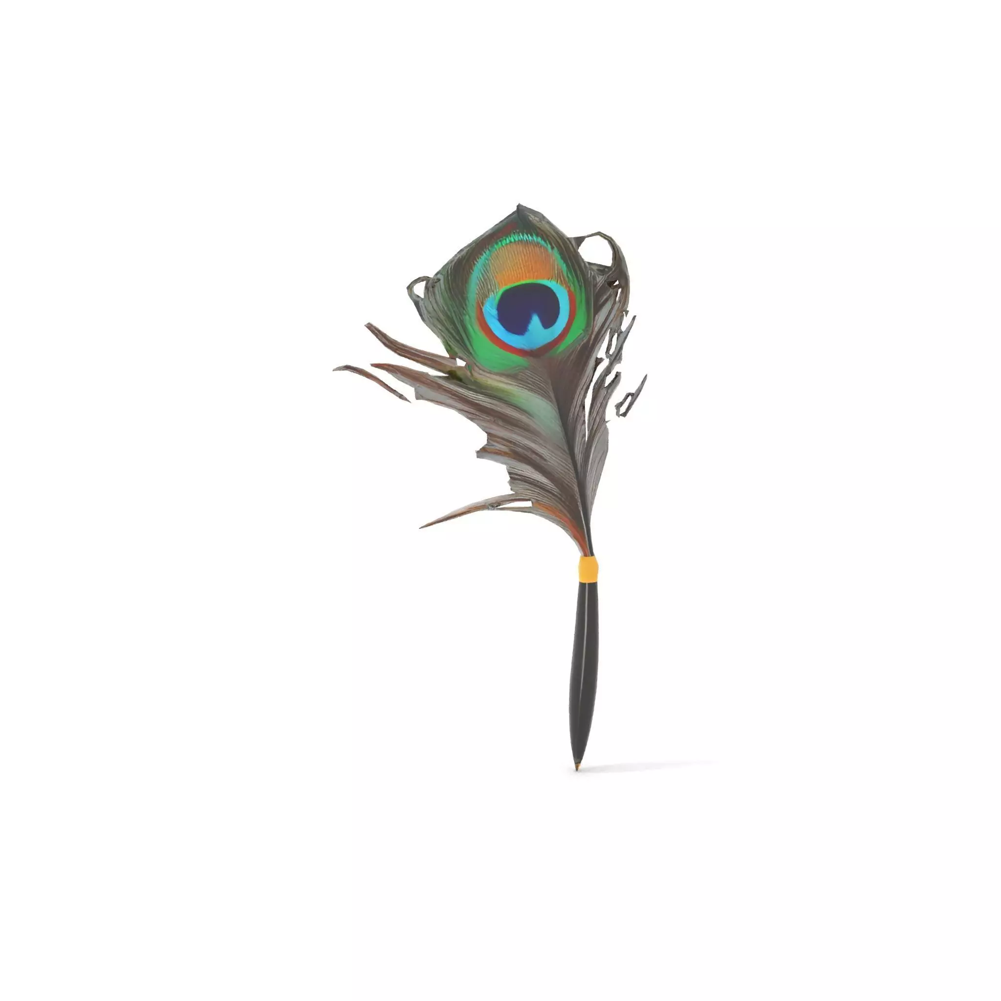 Elegant Peacock Quill Pen model pack Low-poly 3D model_20