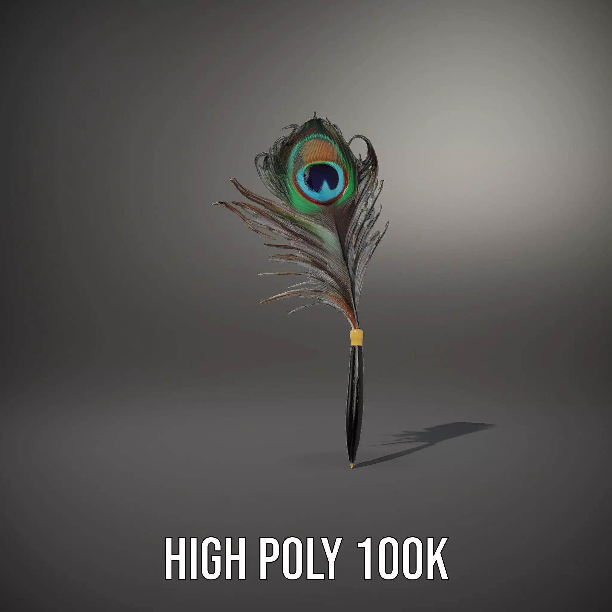 Elegant Peacock Quill Pen model pack Low-poly 3D model_10