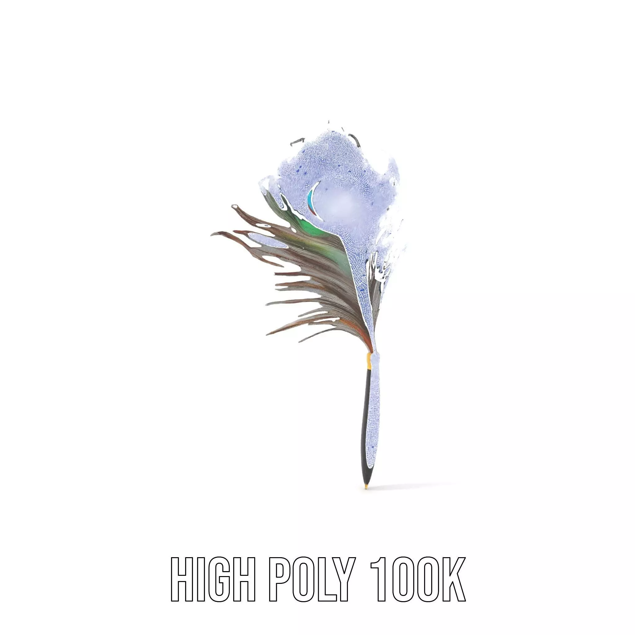 Elegant Peacock Quill Pen model pack Low-poly 3D model_4