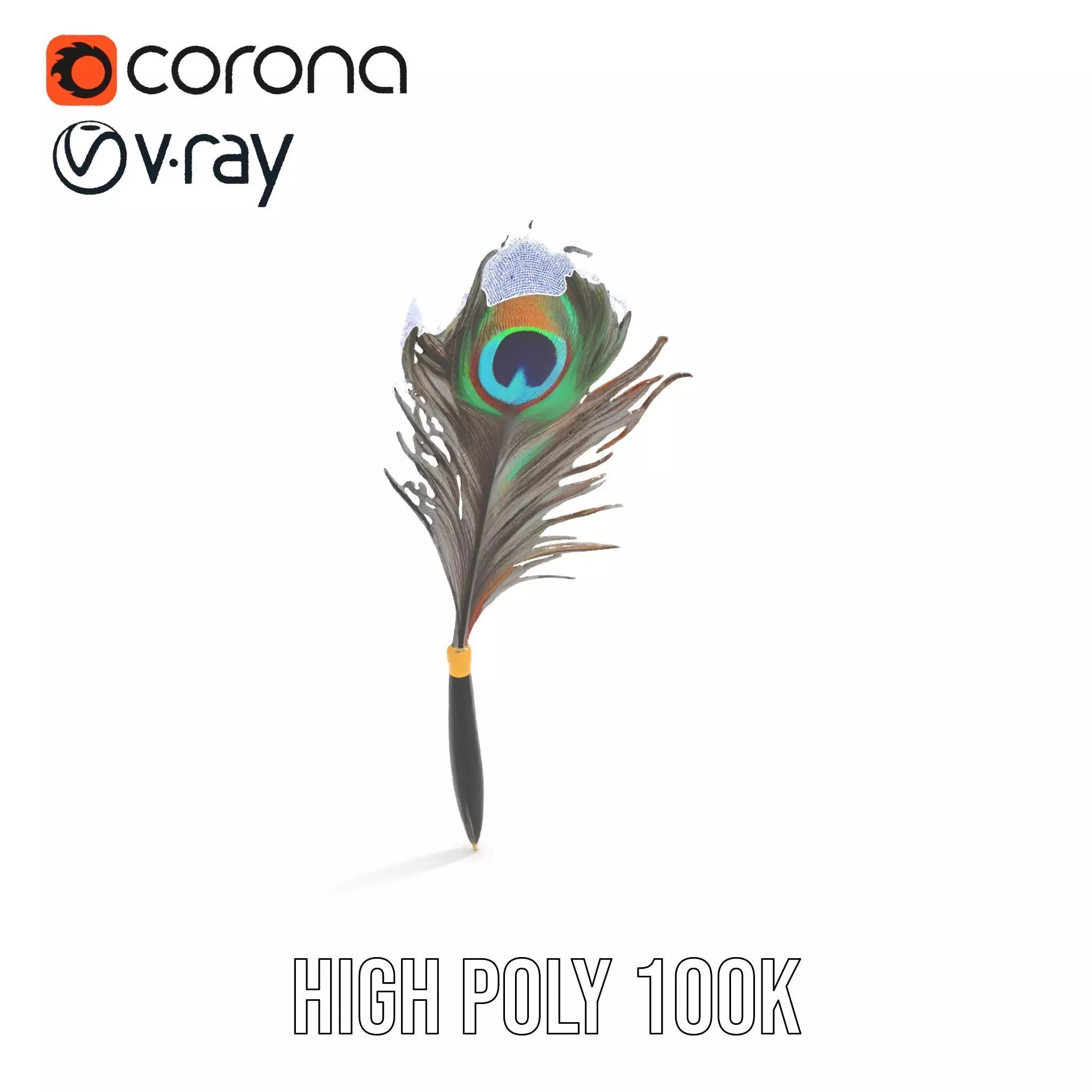Elegant Peacock Quill Pen model pack Low-poly 3D model_26