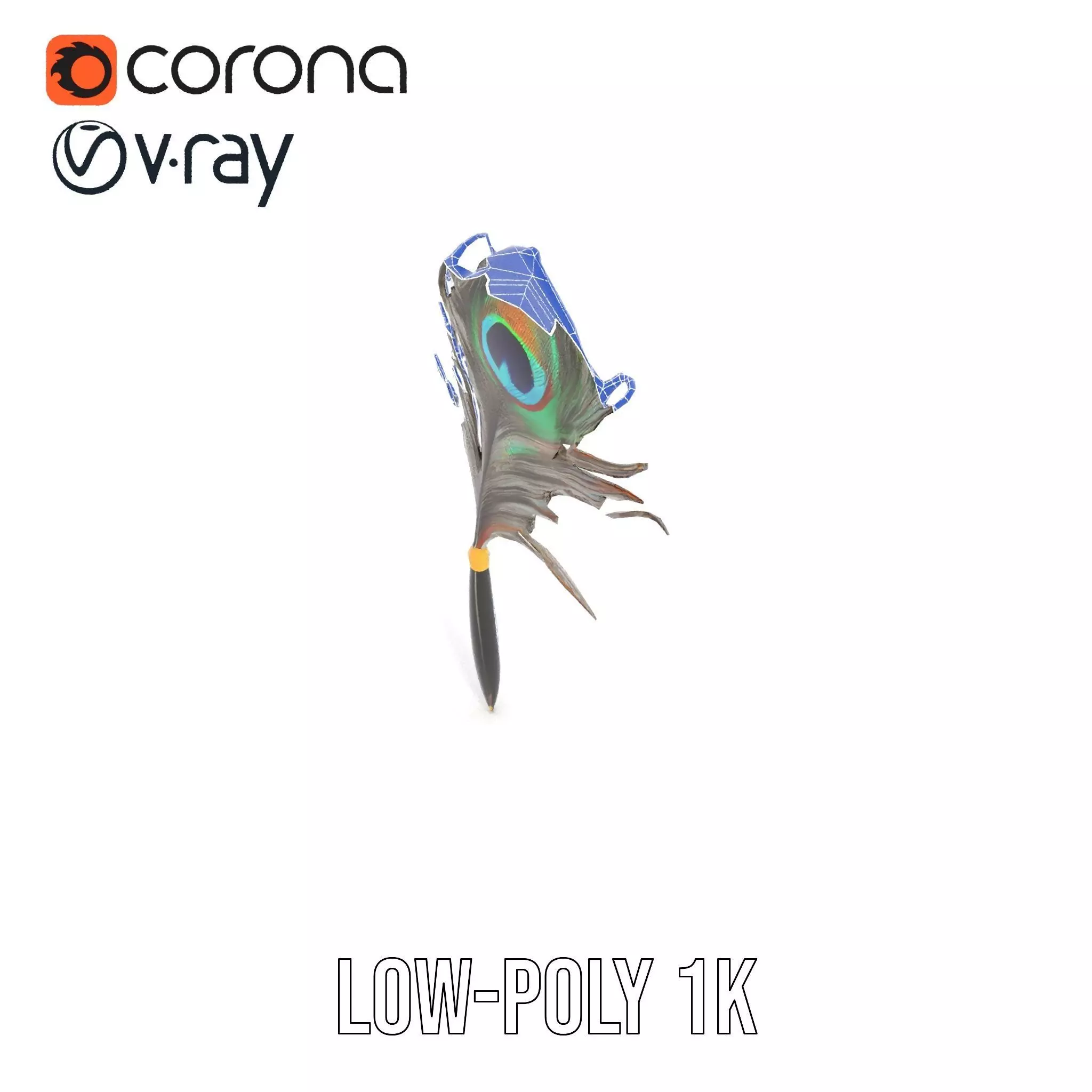 Elegant Peacock Quill Pen model pack Low-poly 3D model_23