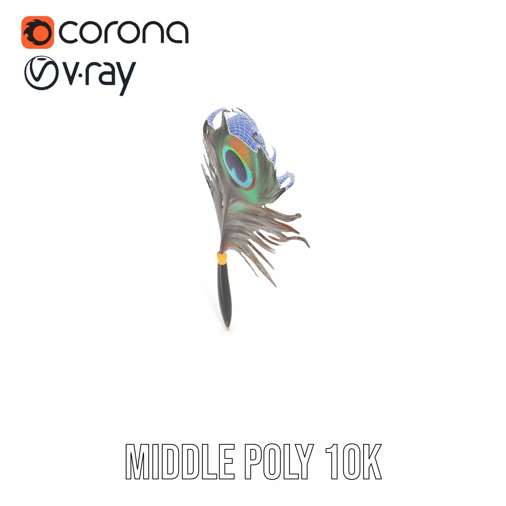 Elegant Peacock Quill Pen model pack Low-poly 3D model_5