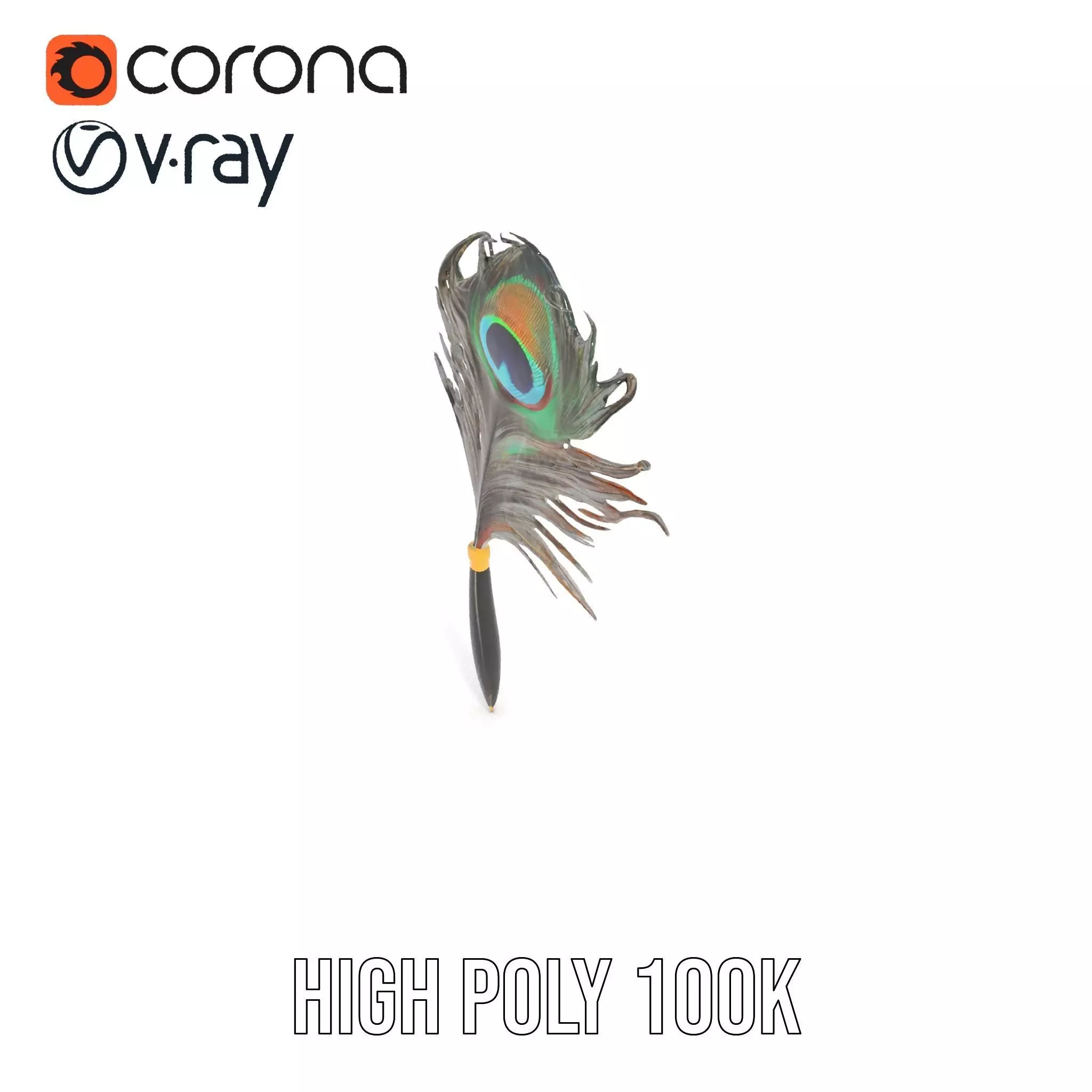 Elegant Peacock Quill Pen model pack Low-poly 3D model_18