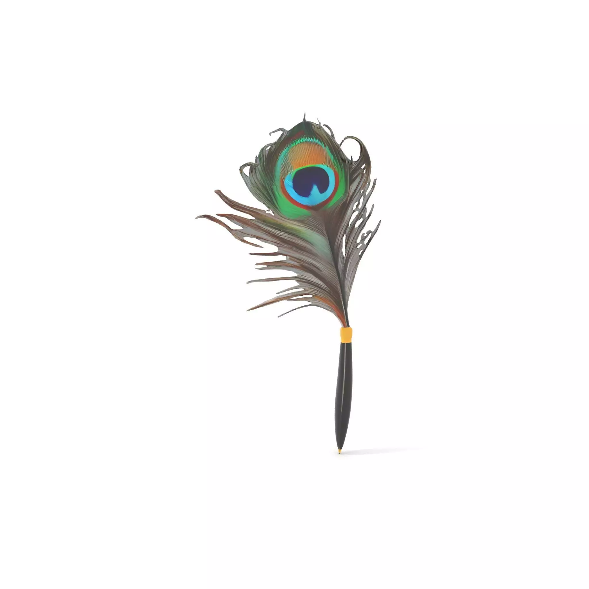 Elegant Peacock Quill Pen model pack Low-poly 3D model_6