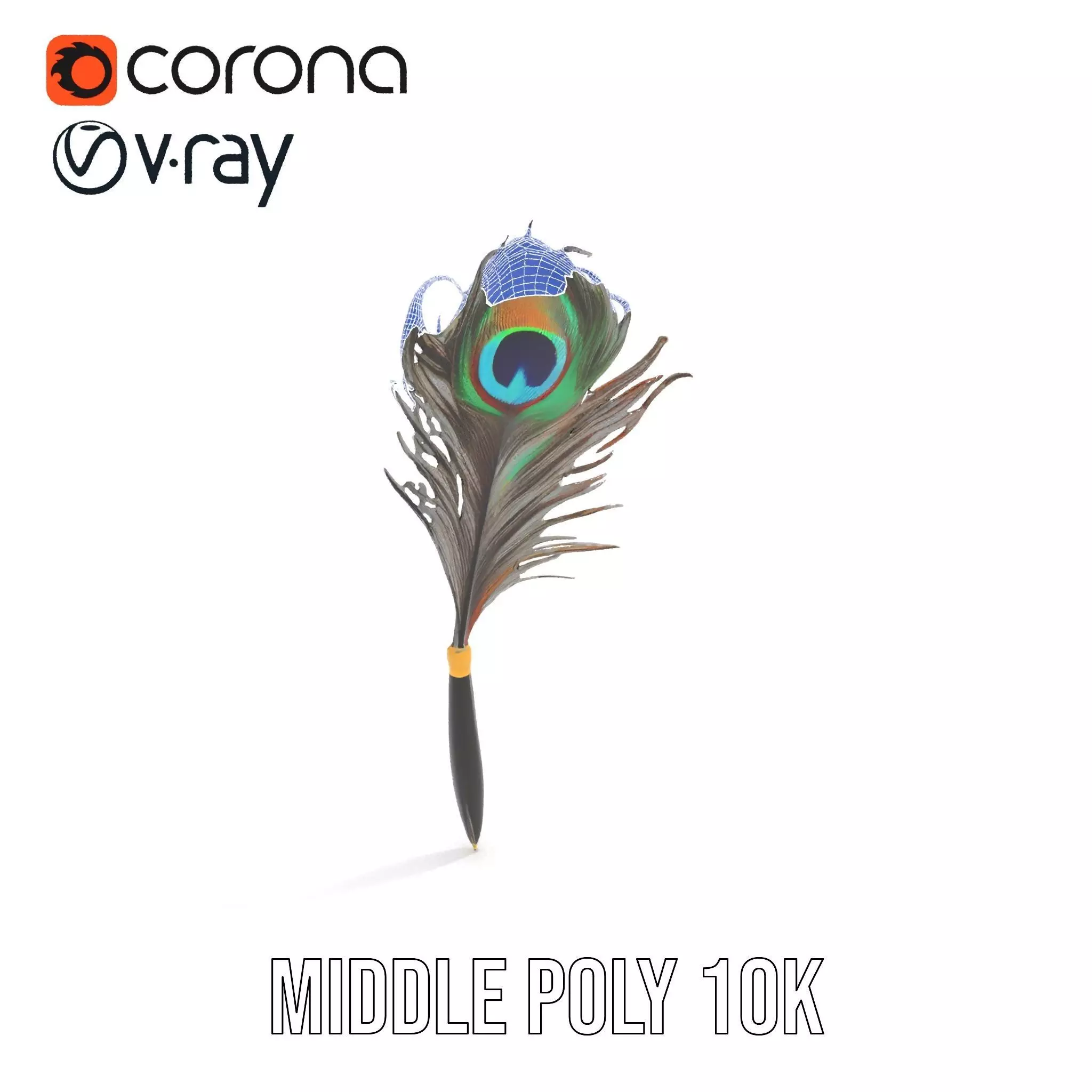 Elegant Peacock Quill Pen model pack Low-poly 3D model_24